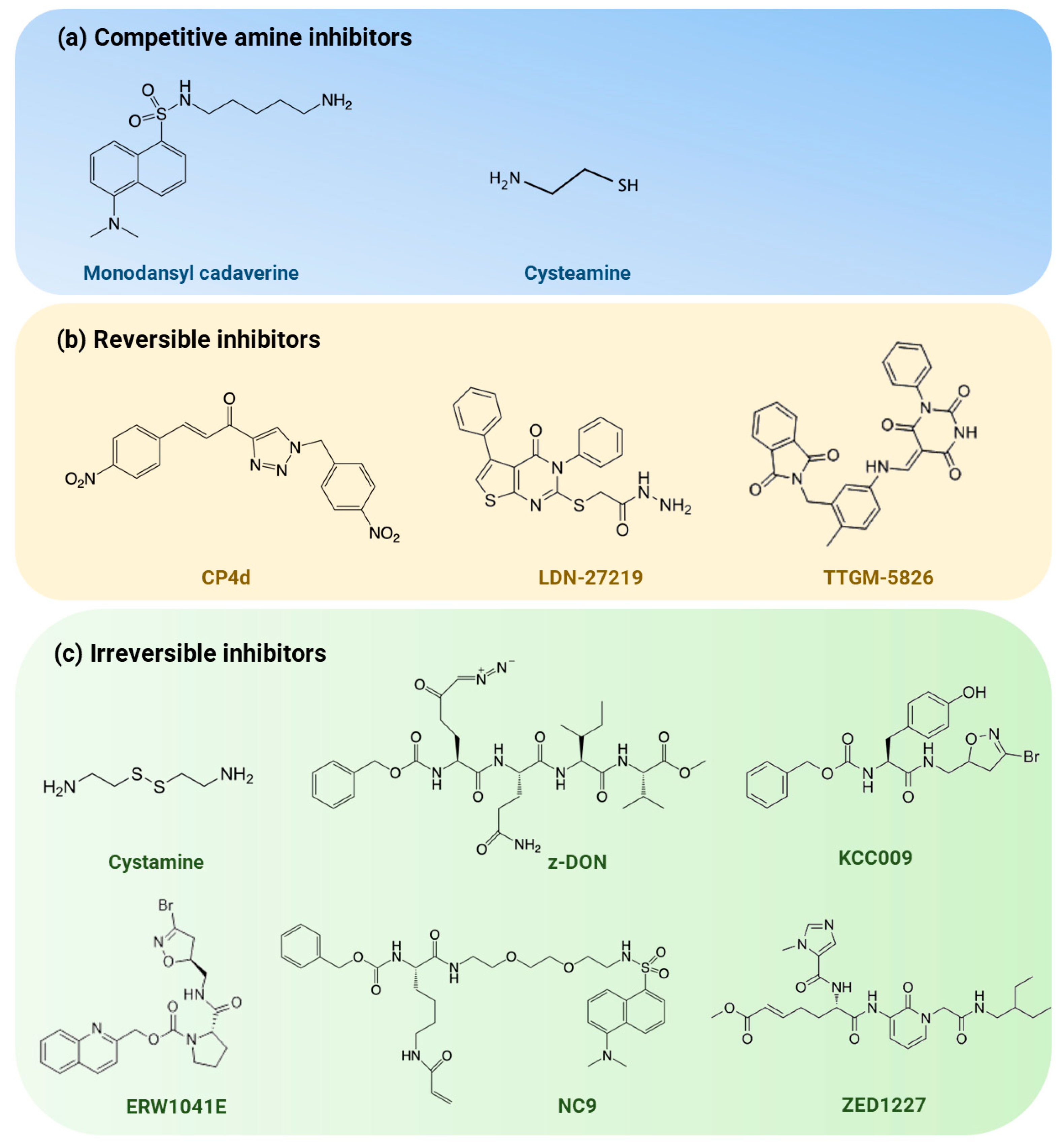 Ijms 25 02364 g003 Ijms 25 02364 g003