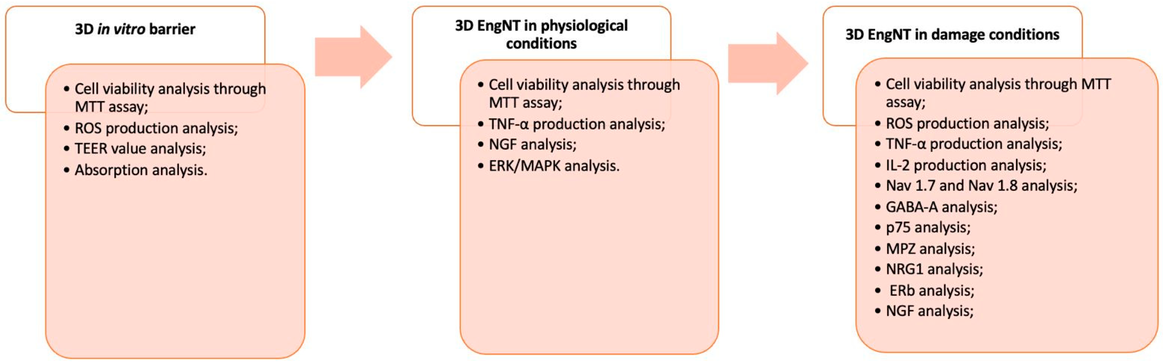 Ijms 25 02376 g008