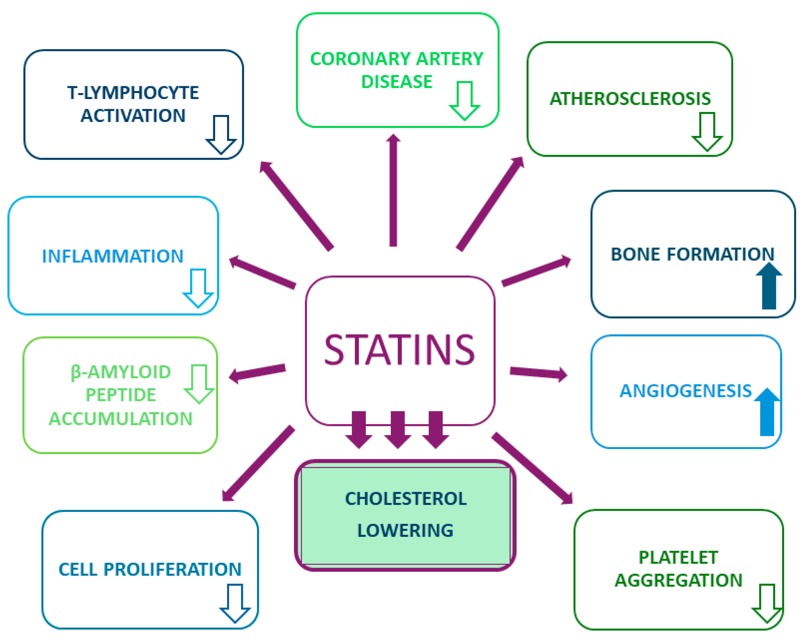 Ijms 25 02378 g001 Ijms 25 02378 g001