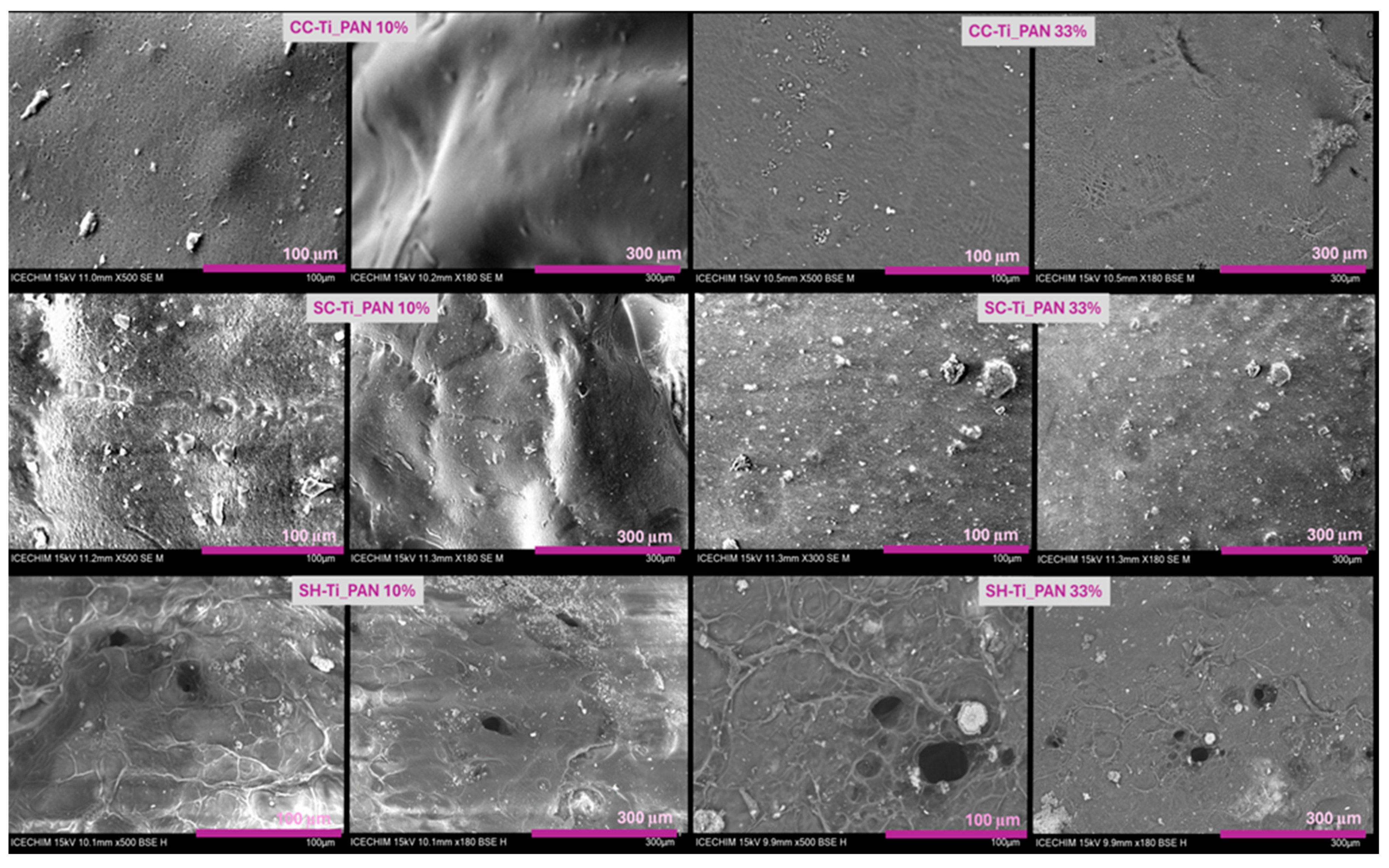 Ijms 25 02411 g003