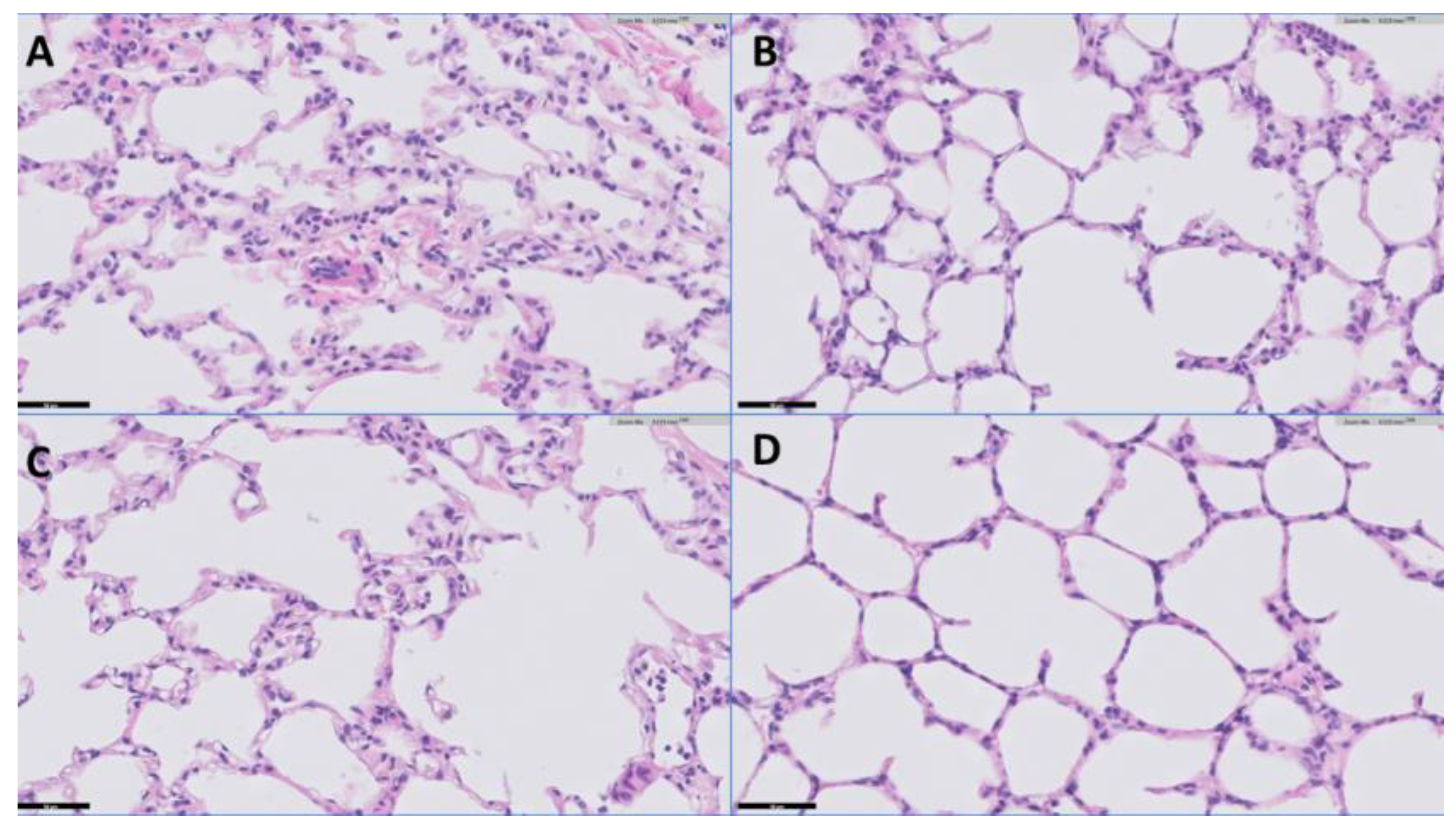 Ijms 25 02413 g003 Ijms 25 02413 g003