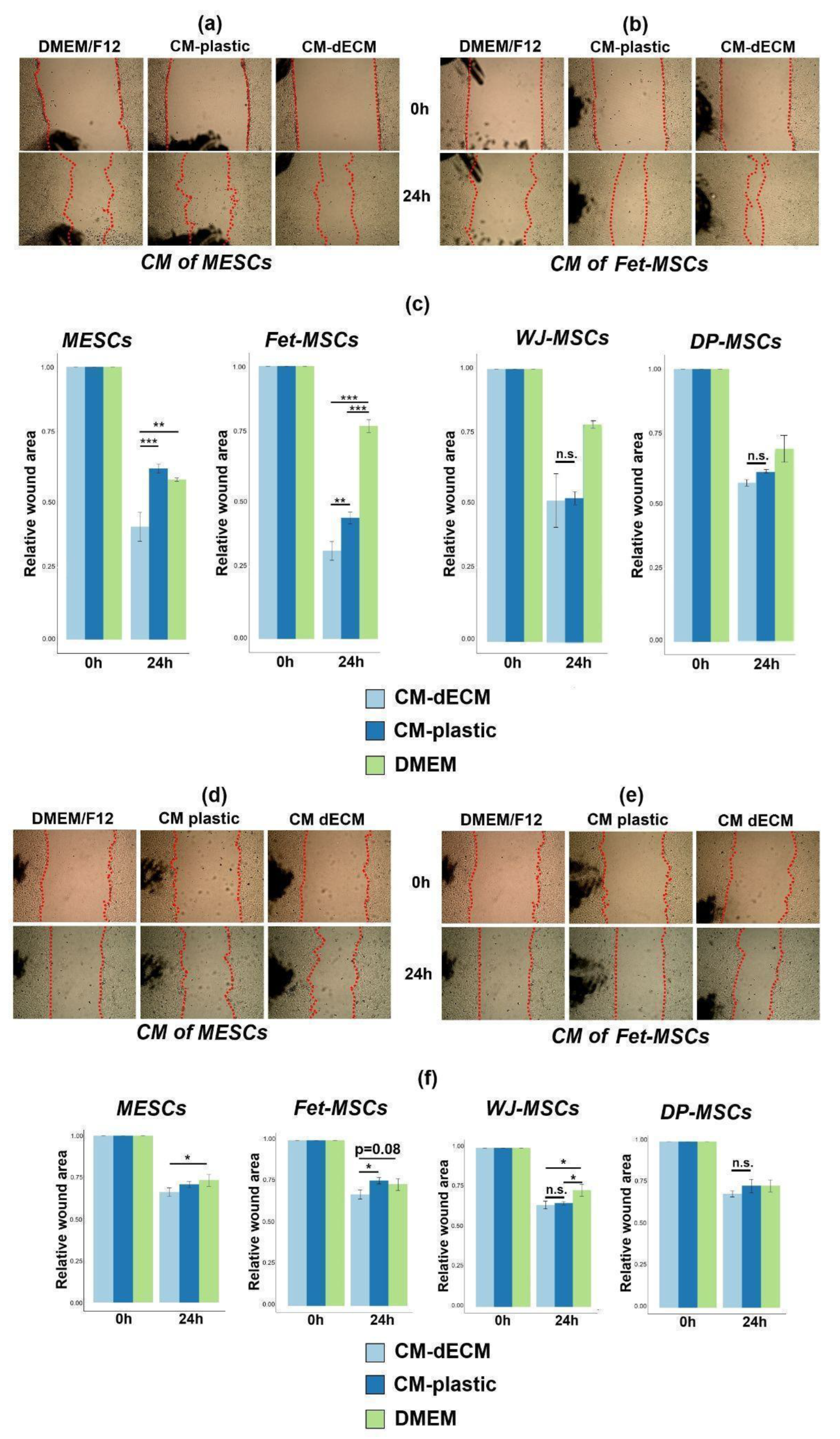 Ijms 25 02419 g005 Ijms 25 02419 g005