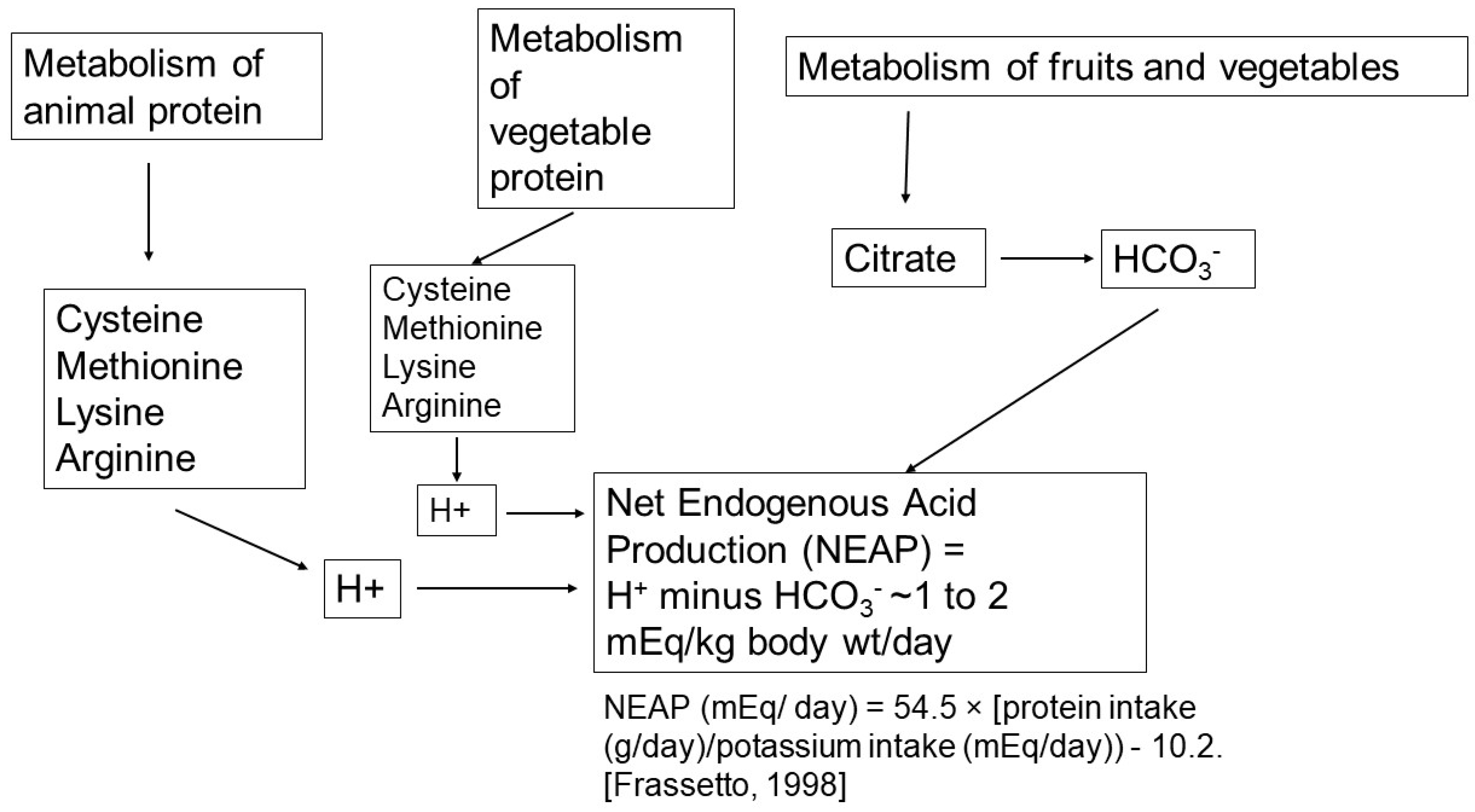 Ijms 25 02420 g001 Ijms 25 02420 g001