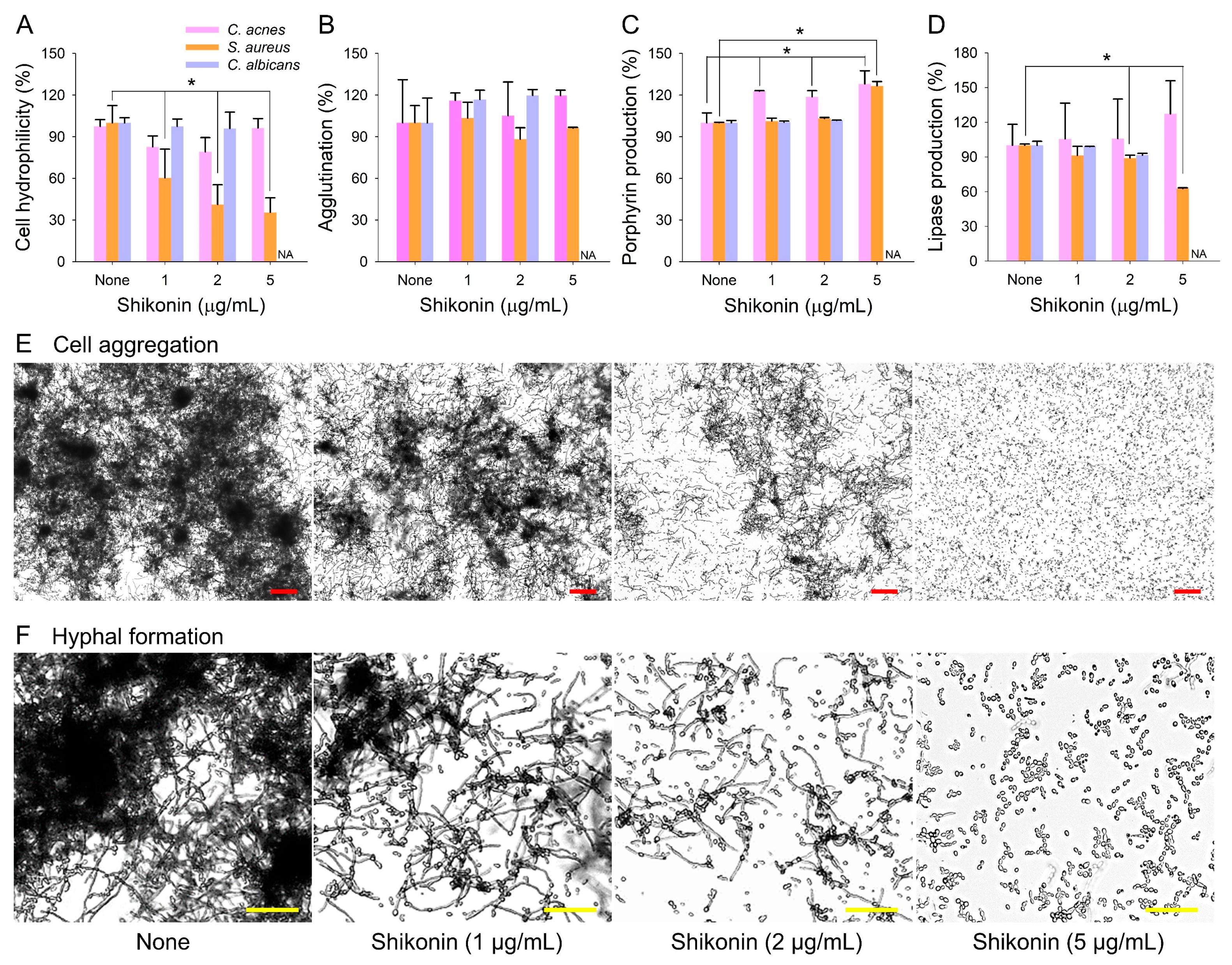 Ijms 25 02426 g003 Ijms 25 02426 g003