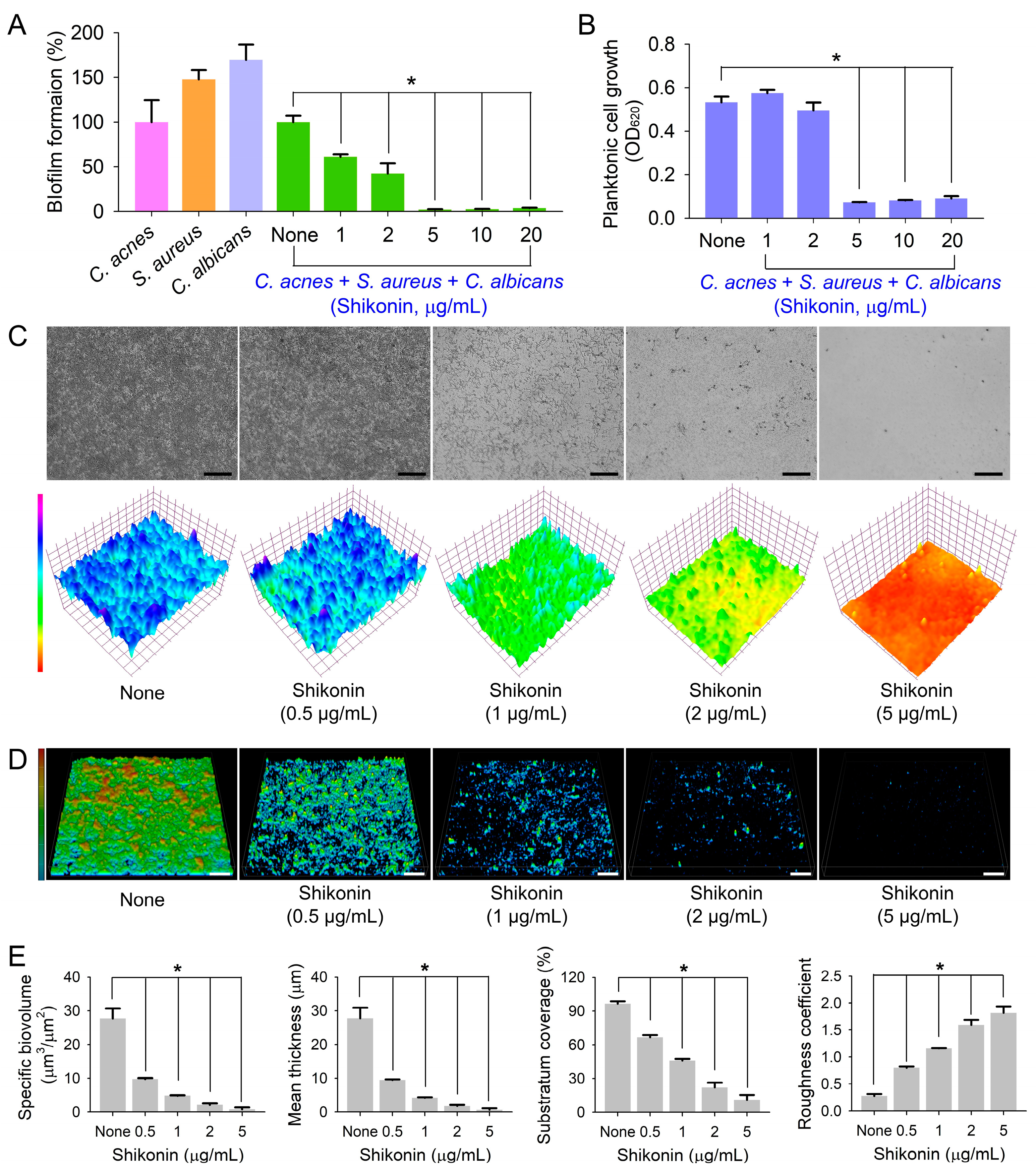 Ijms 25 02426 g004 Ijms 25 02426 g004