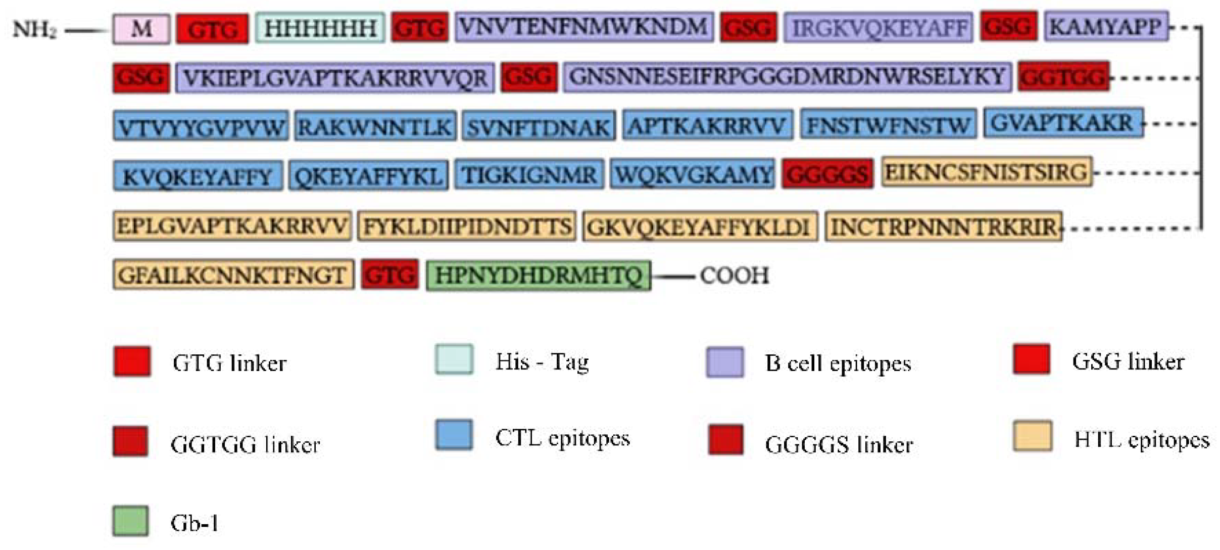 Ijms 25 02432 g006 Ijms 25 02432 g006