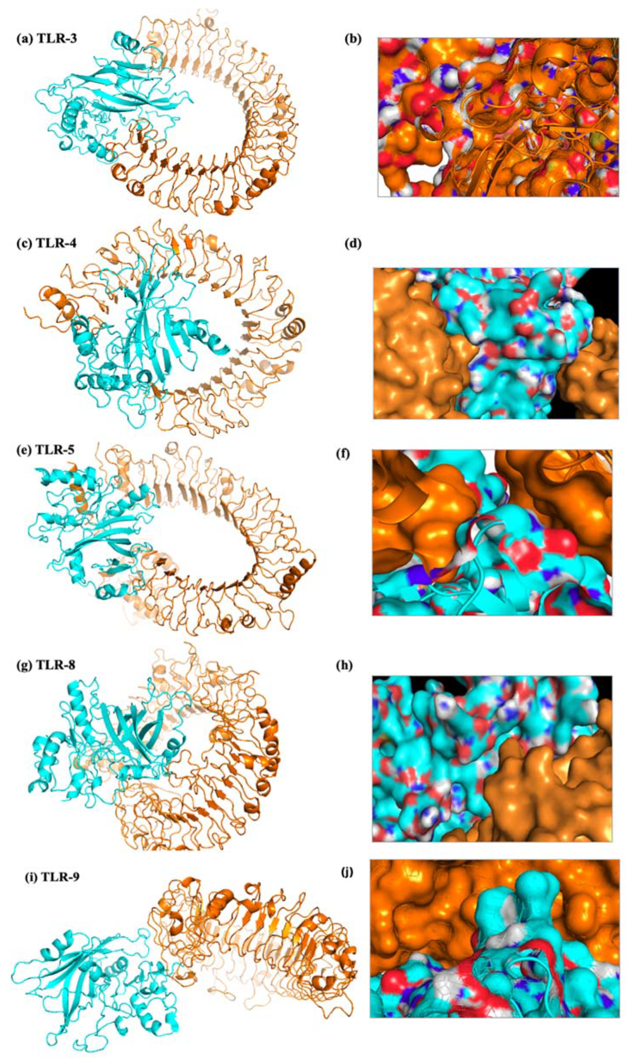 Ijms 25 02432 g013 Ijms 25 02432 g013