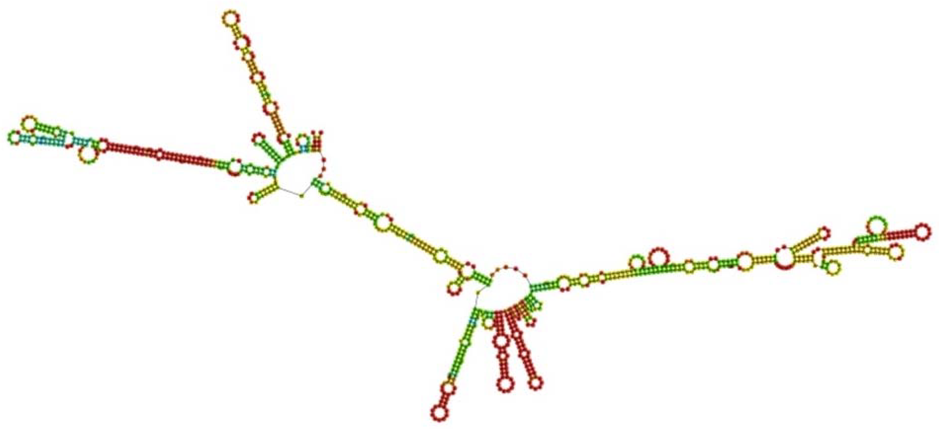 Ijms 25 02432 g015 Ijms 25 02432 g015