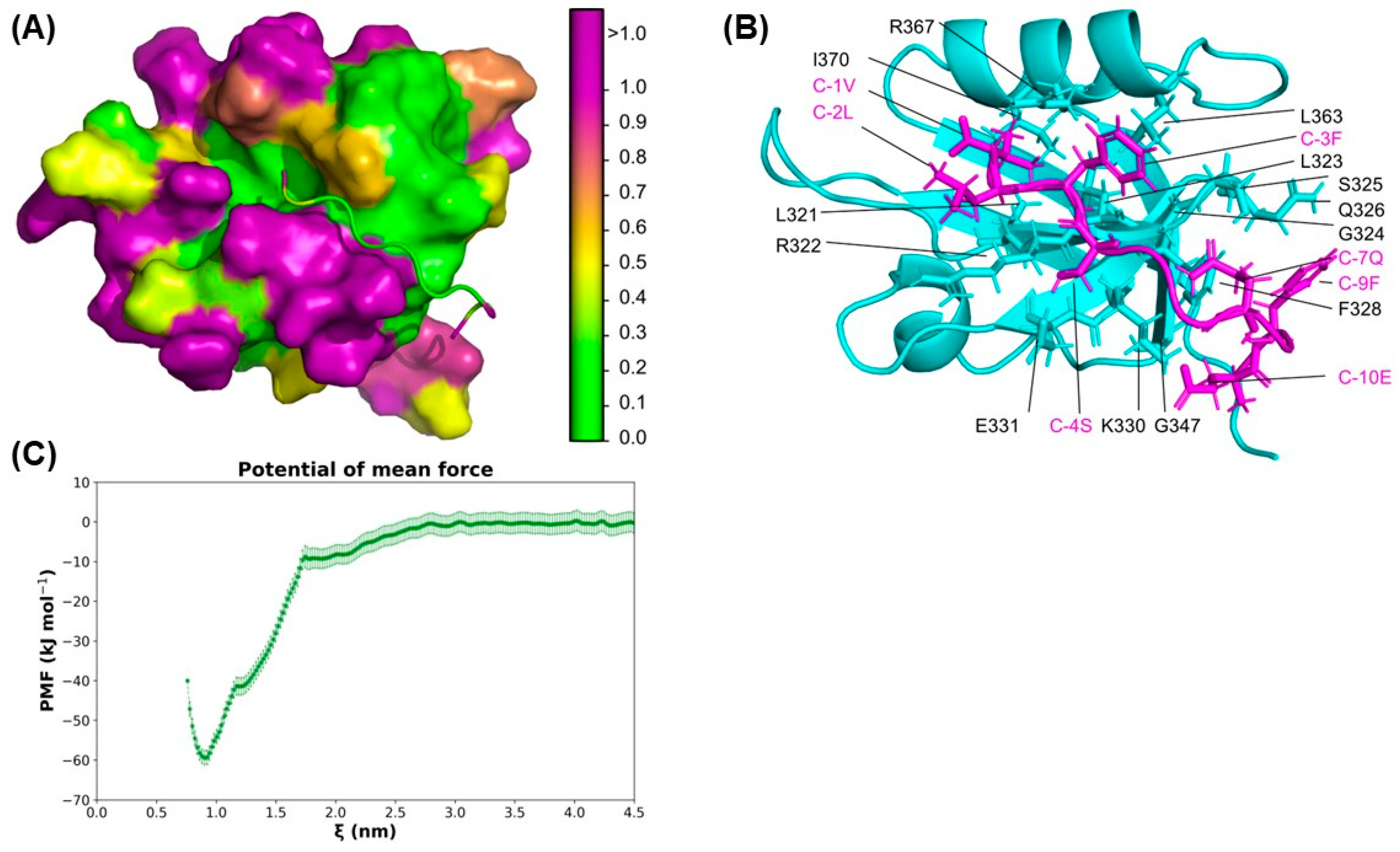 Ijms 25 02453 g006 Ijms 25 02453 g006