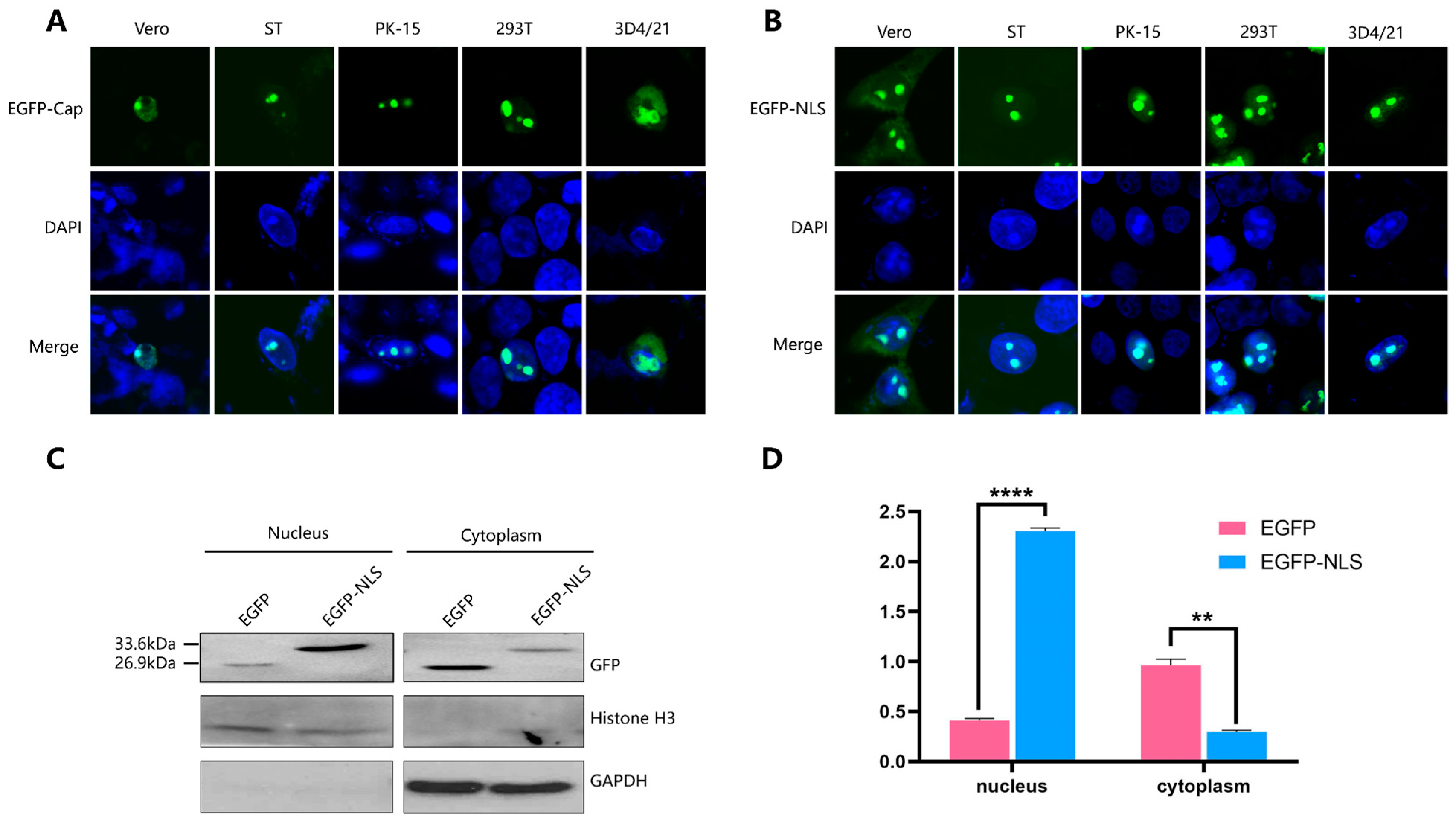 Ijms 25 02459 g001 Ijms 25 02459 g001