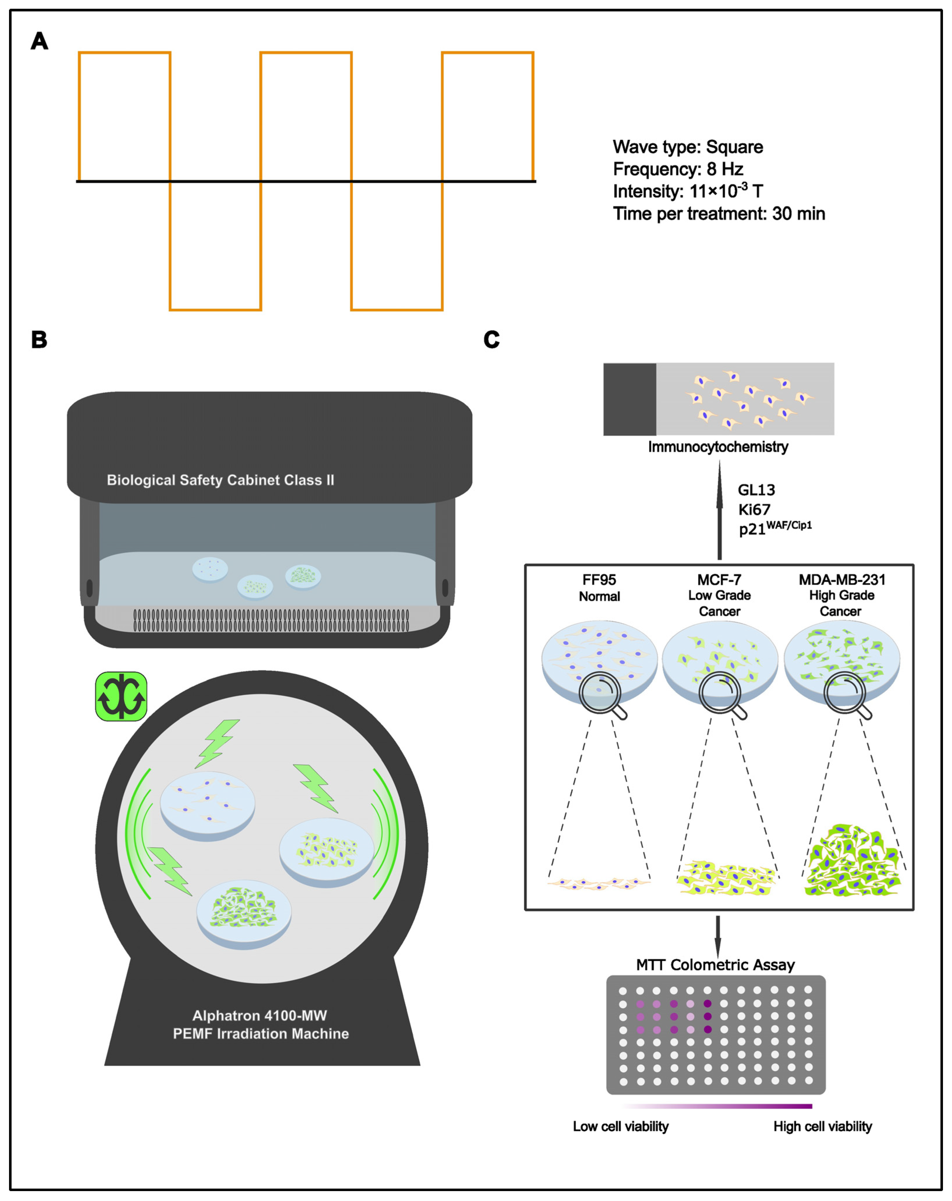Detecting the limits of the biological effects of far-infrared radiation on  epithelial cells