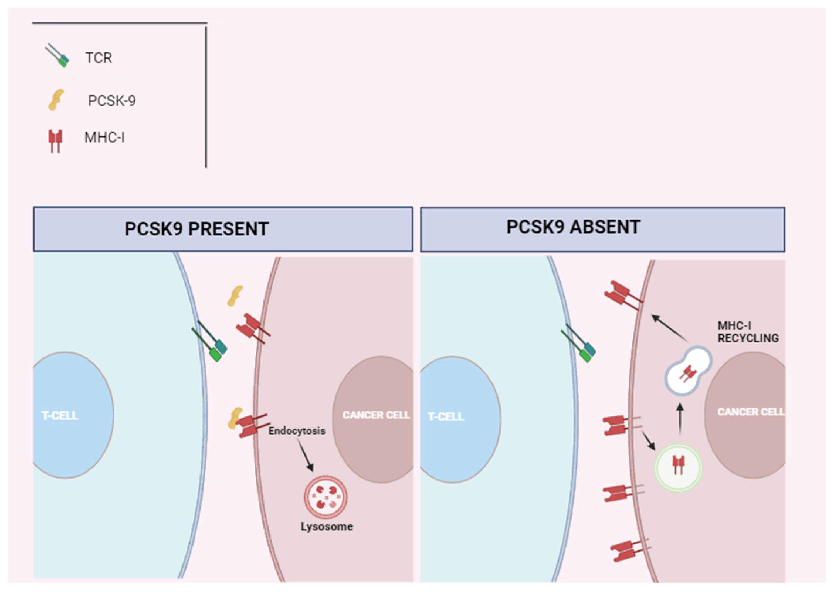 Ijms 25 02502 g003 Ijms 25 02502 g003