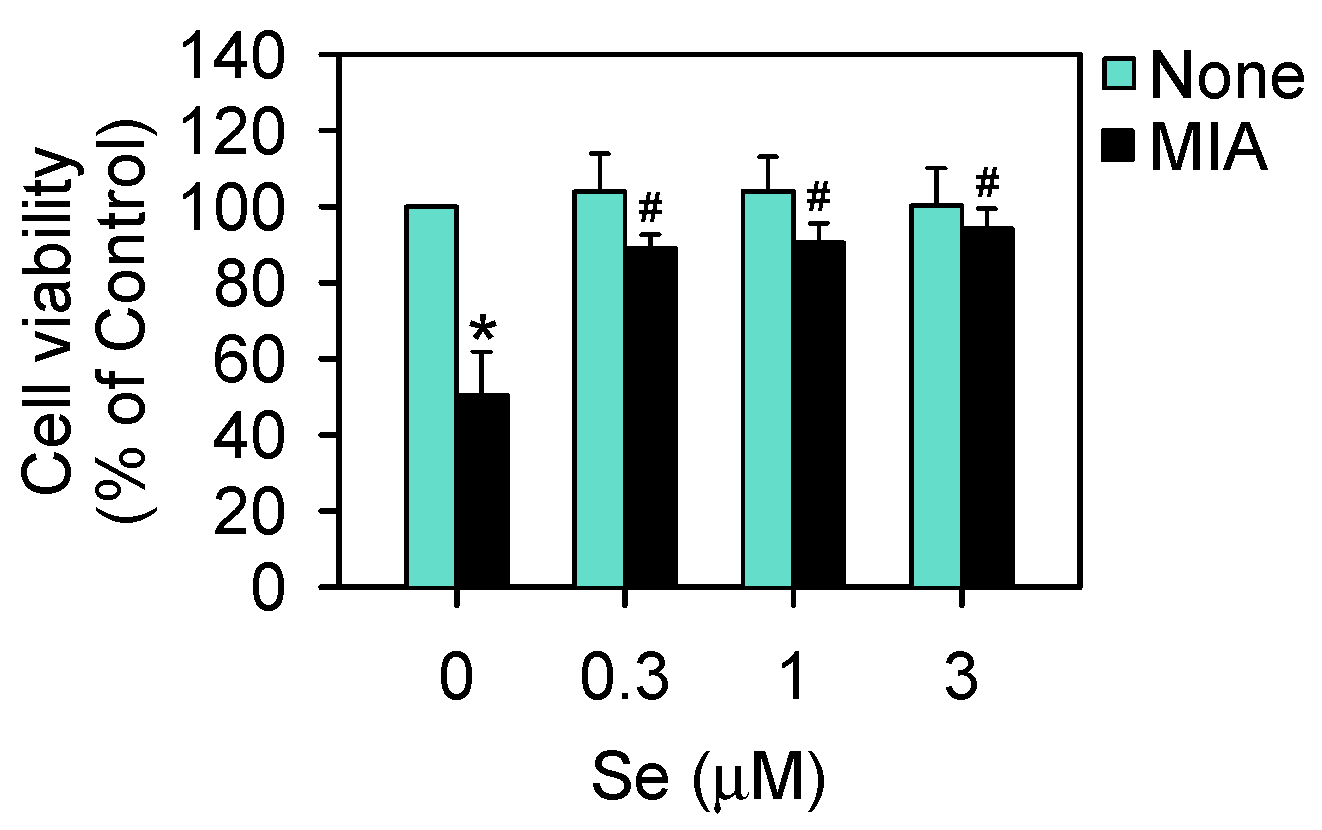 Ijms 25 02511 g001 Ijms 25 02511 g001