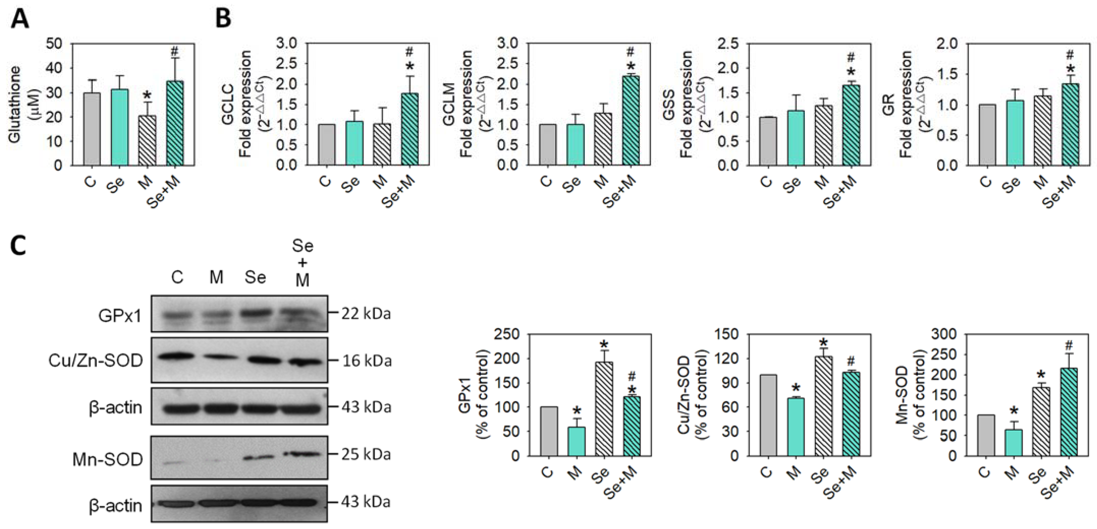 Ijms 25 02511 g003 Ijms 25 02511 g003