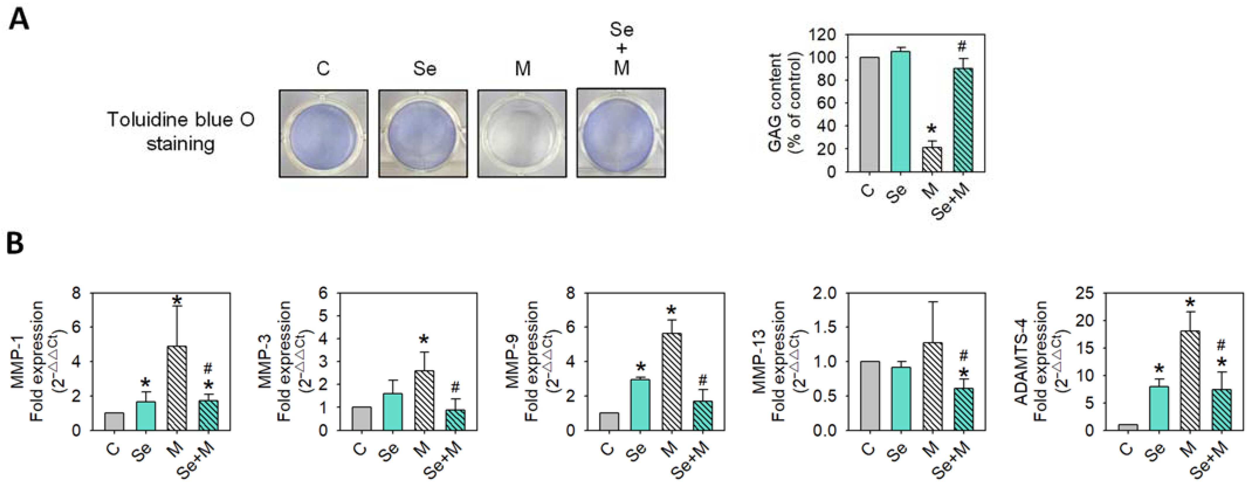 Ijms 25 02511 g005 Ijms 25 02511 g005