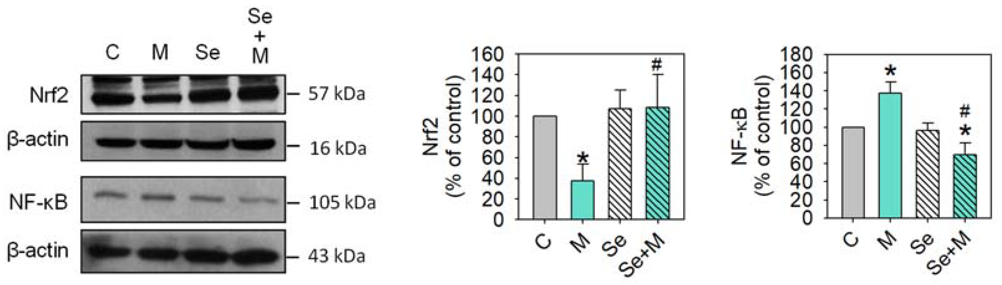 Ijms 25 02511 g007 Ijms 25 02511 g007