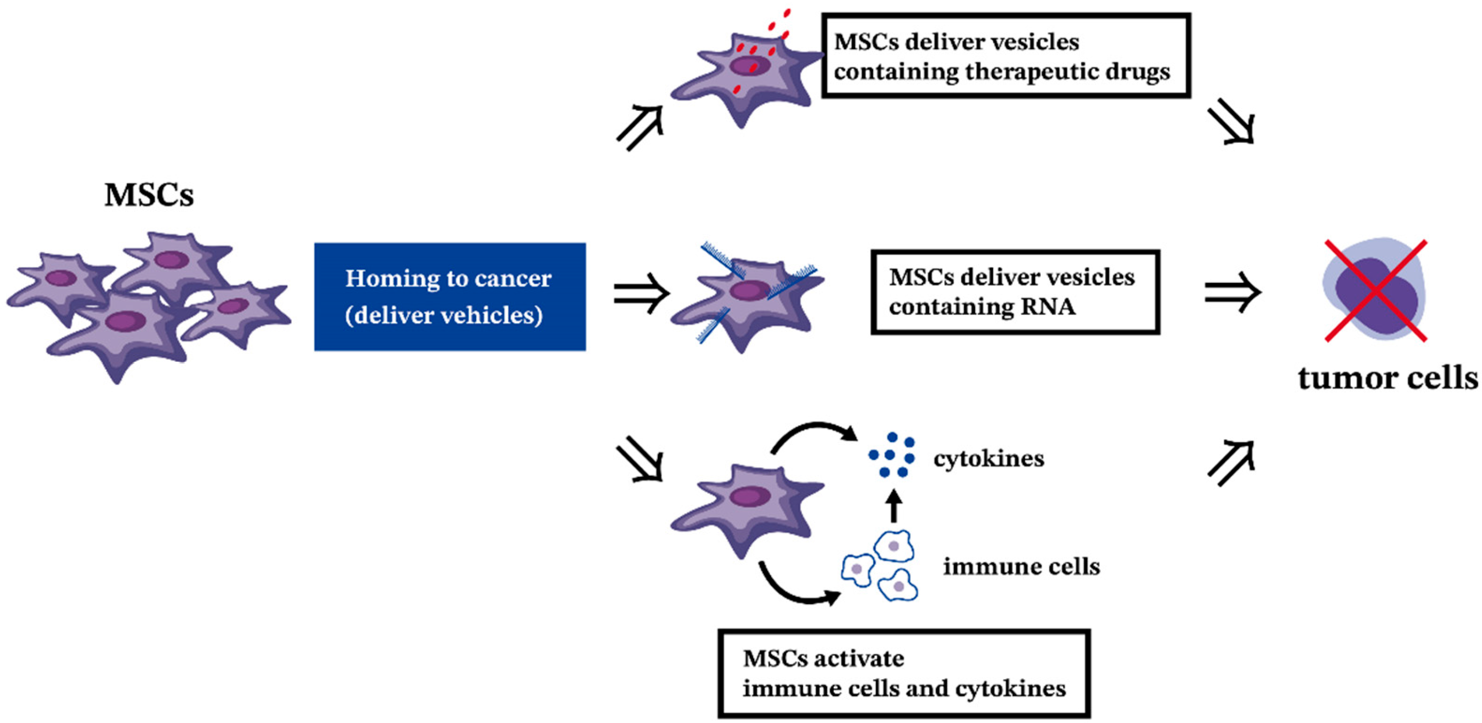 Ijms 25 02527 g002 Ijms 25 02527 g002