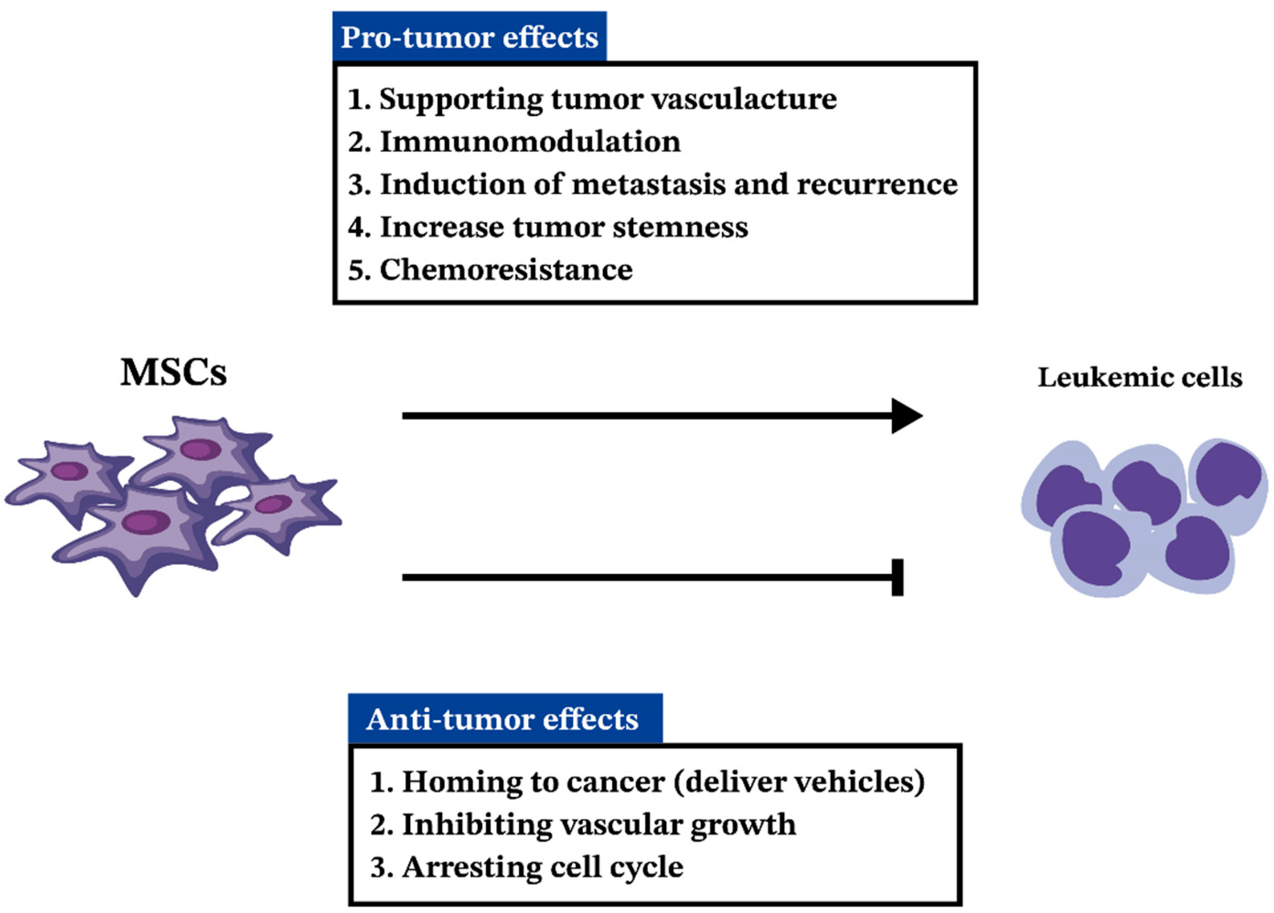Ijms 25 02527 g003 Ijms 25 02527 g003