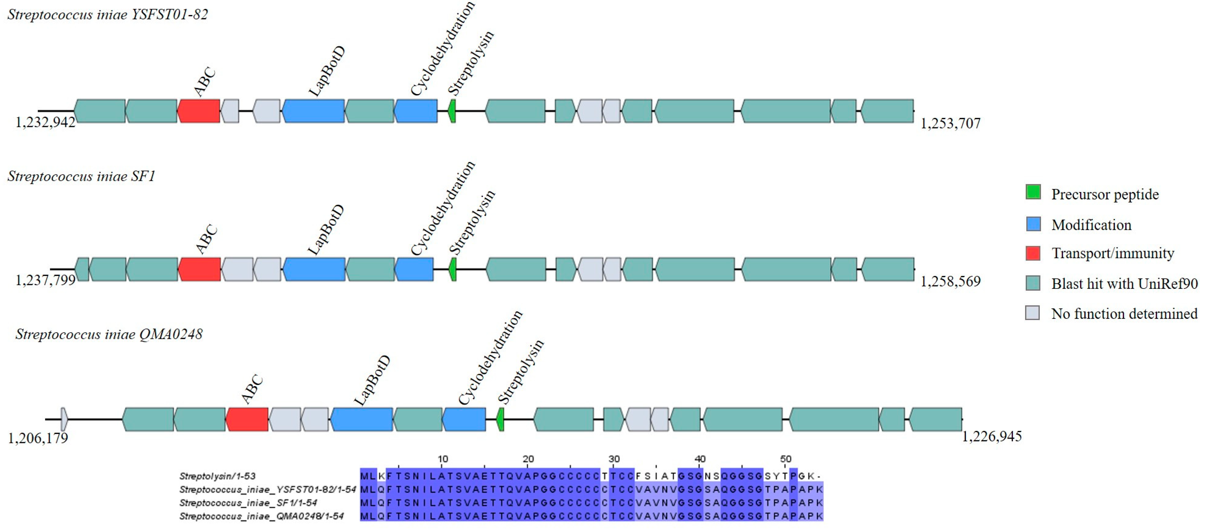 Ijms 25 02566 g004 Ijms 25 02566 g004