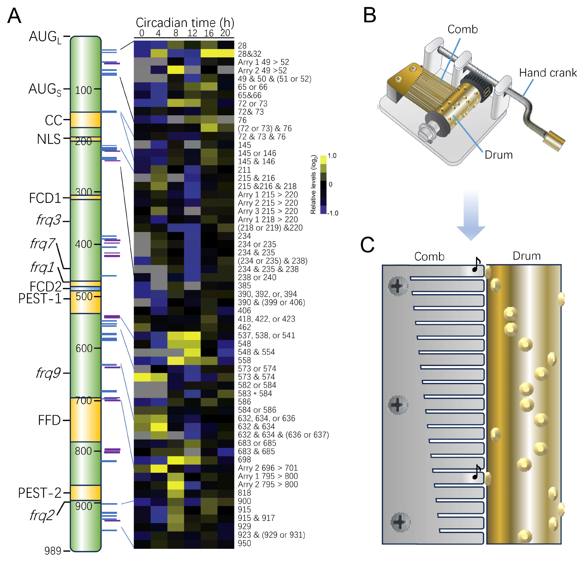 Ijms 25 02574 g002 Ijms 25 02574 g002