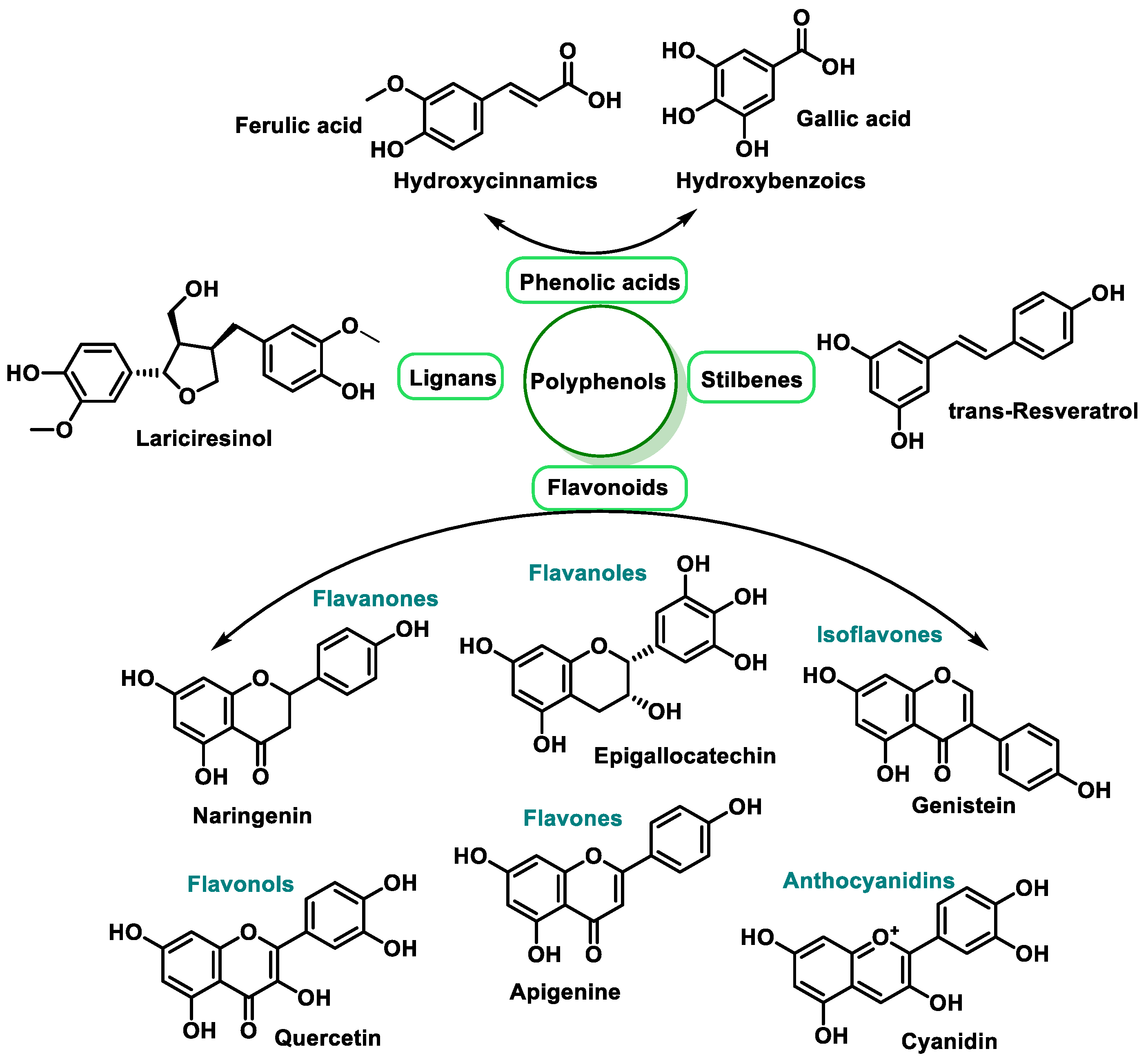 IJMS | Free Full-Text | Antioxidant Metabolism Pathways in Vitamins ...