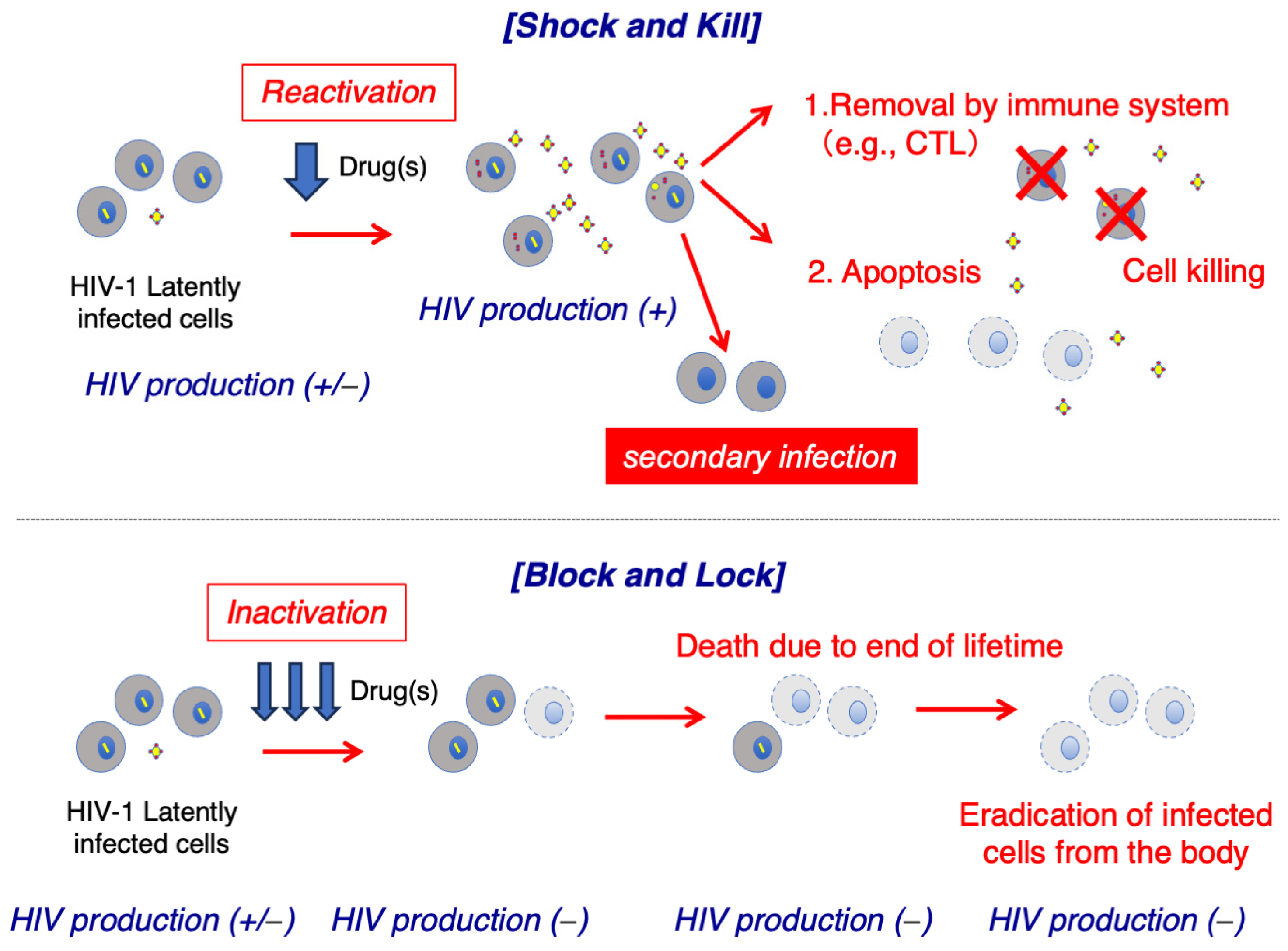 Ijms 25 02621 g002 Ijms 25 02621 g002