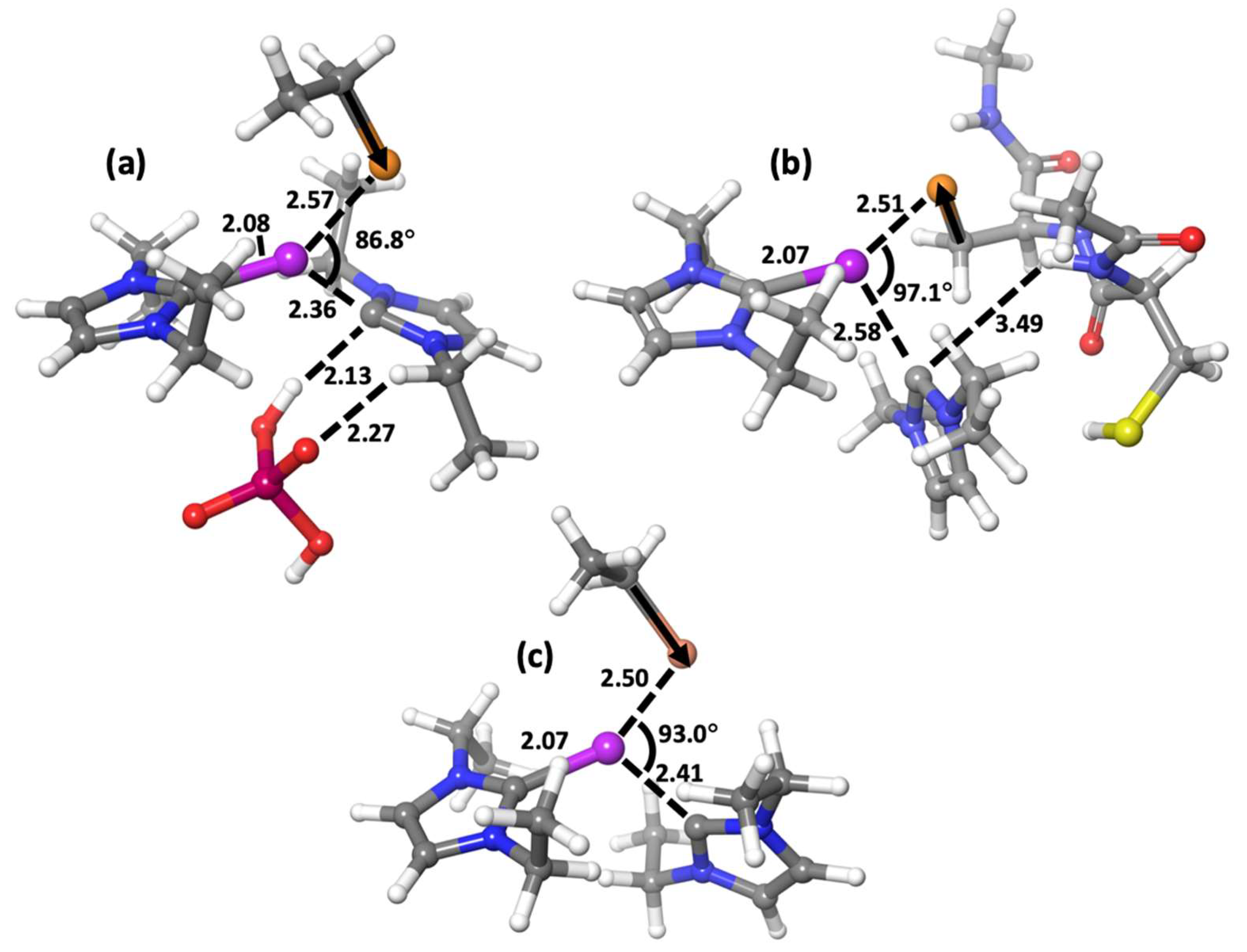 Ijms 25 02625 g004