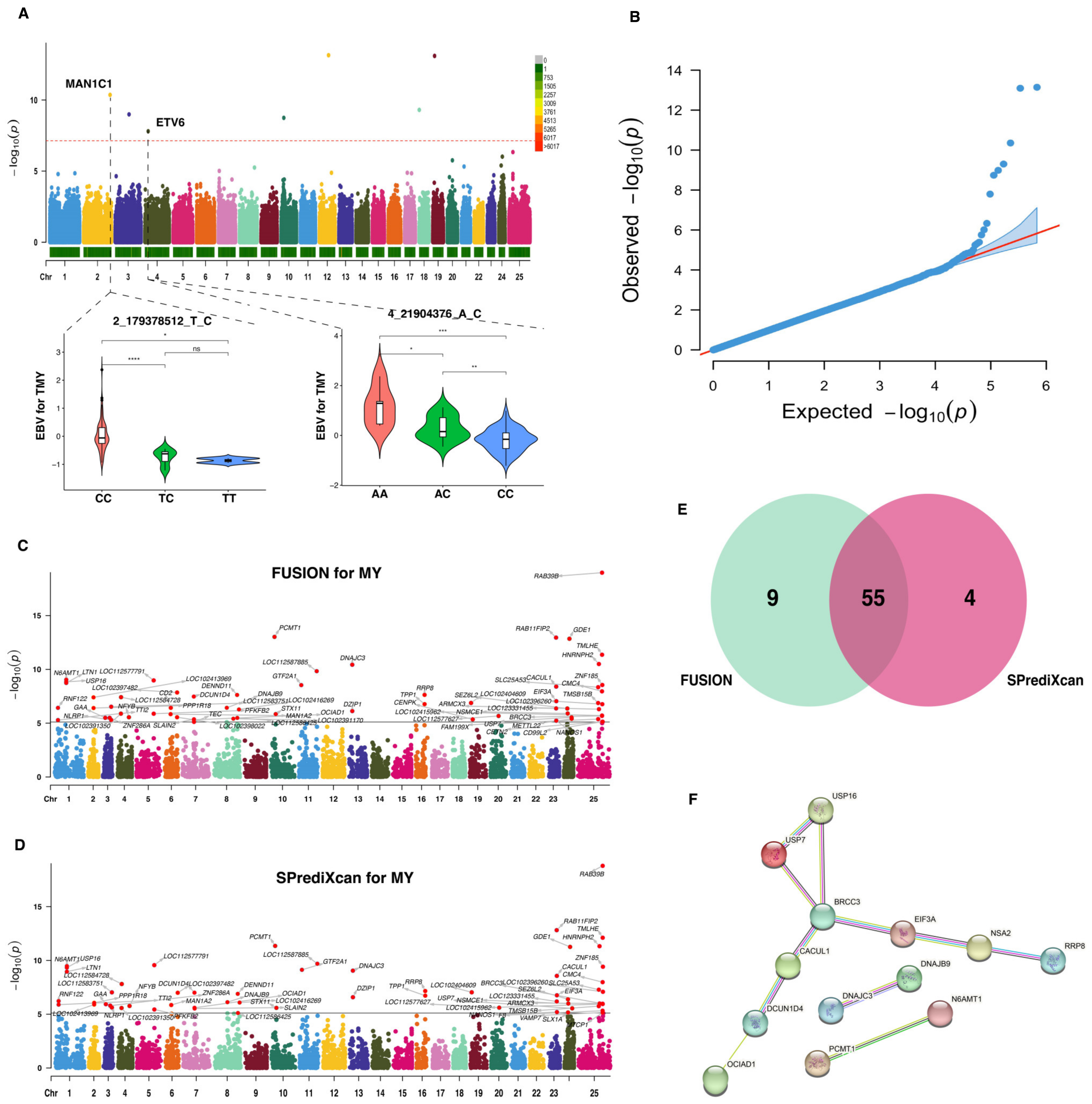 Ijms 25 02626 g002 Ijms 25 02626 g002