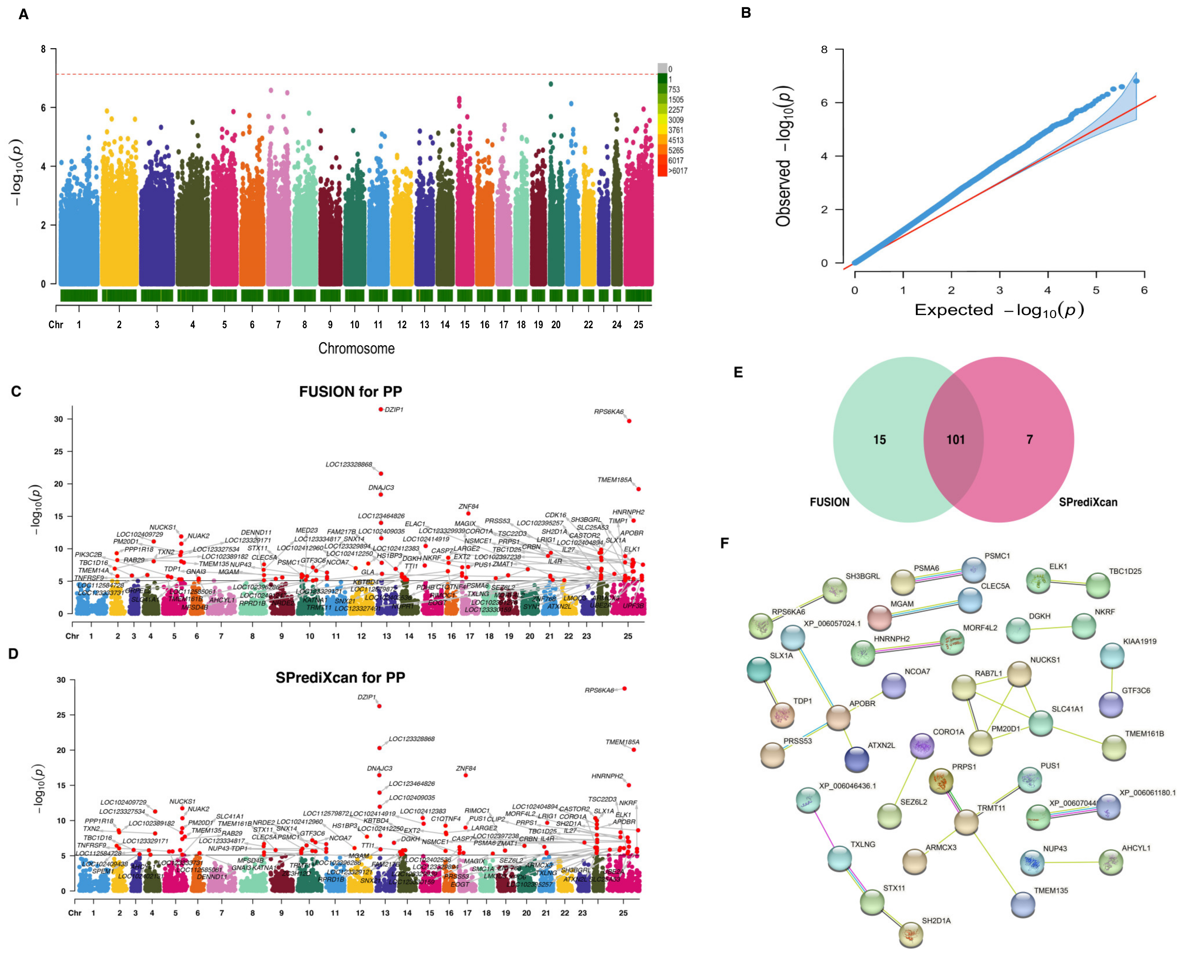 Ijms 25 02626 g004 Ijms 25 02626 g004