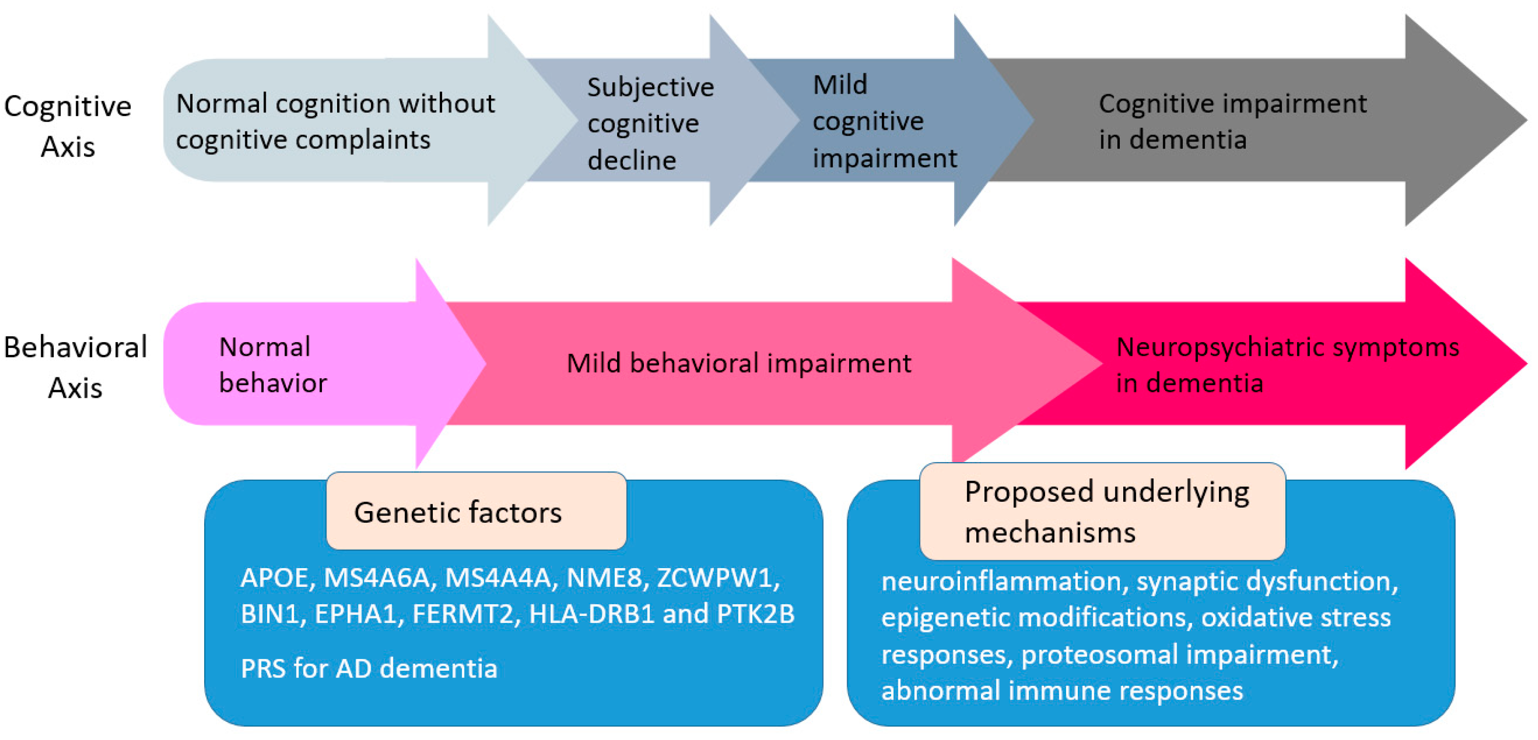 Ijms 25 02645 g001 Ijms 25 02645 g001