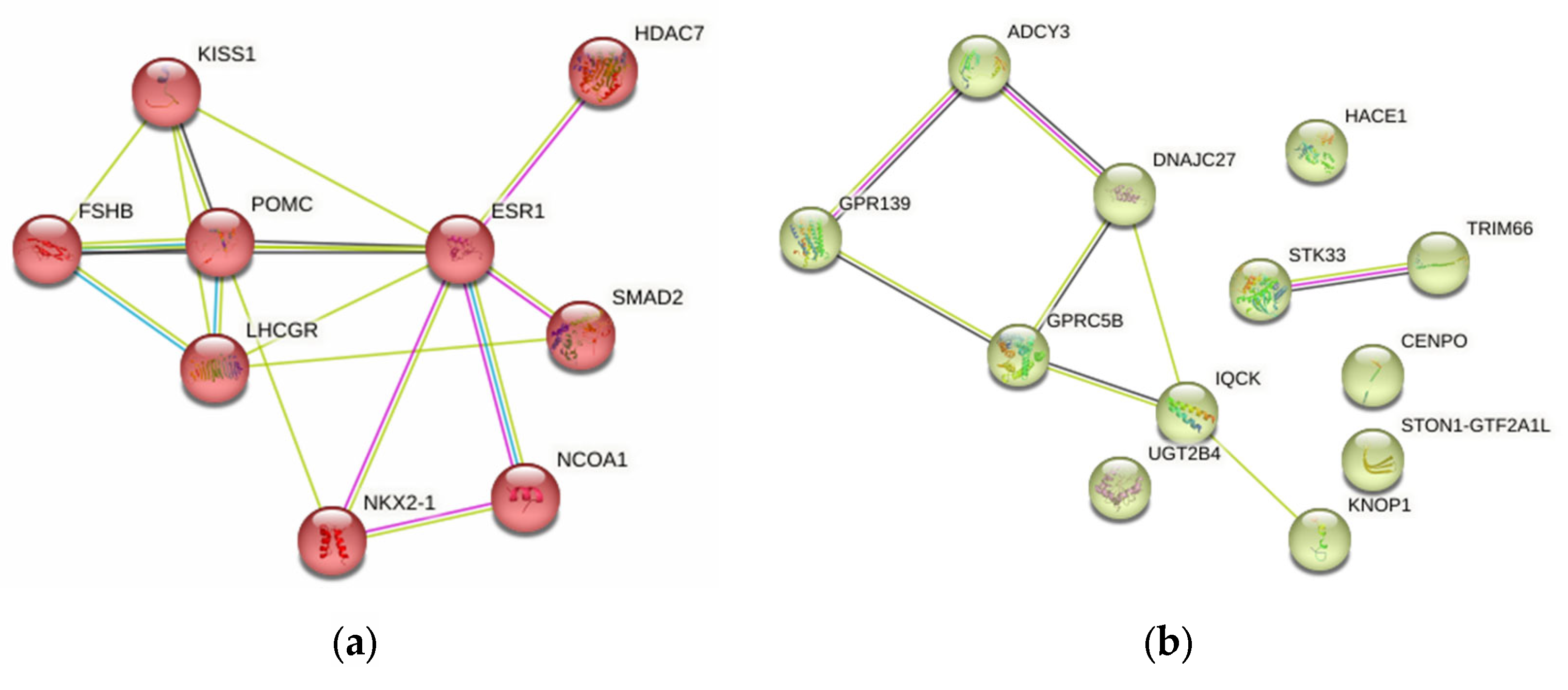 Ijms 25 02647 g003a Ijms 25 02647 g003a