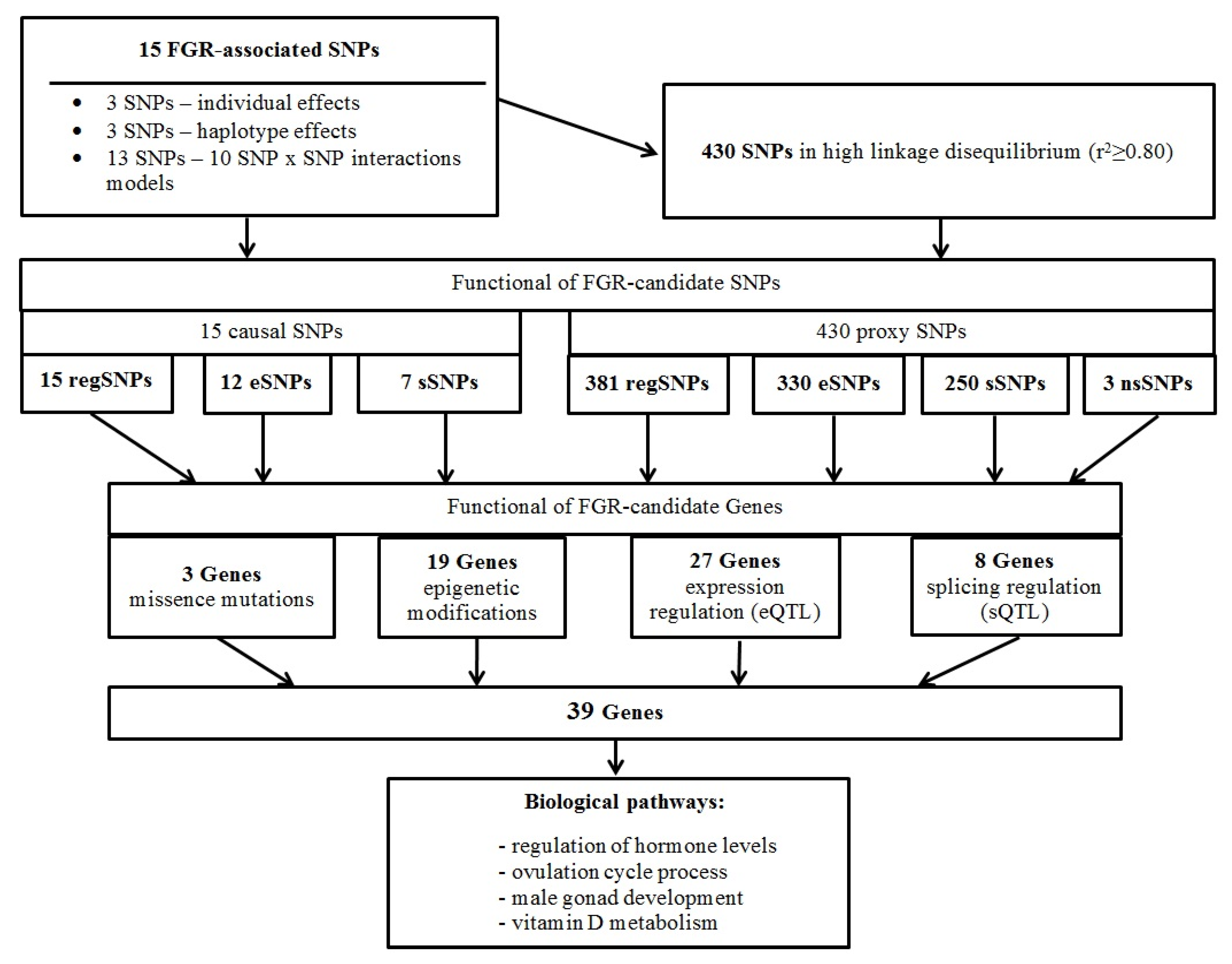 Ijms 25 02647 g004 Ijms 25 02647 g004
