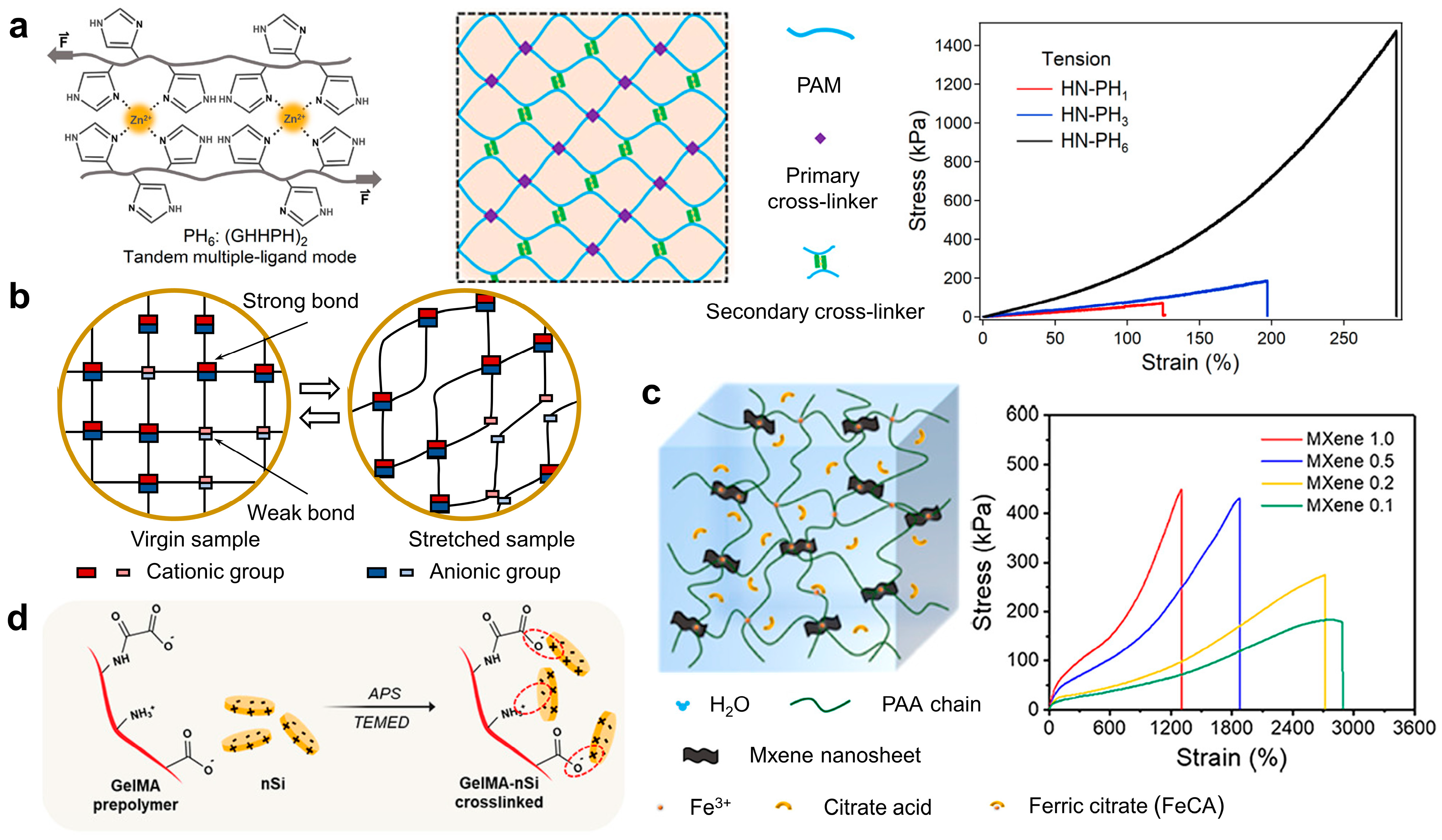 IJMS Free Full Text Tough Hydrogels with Different Toughening