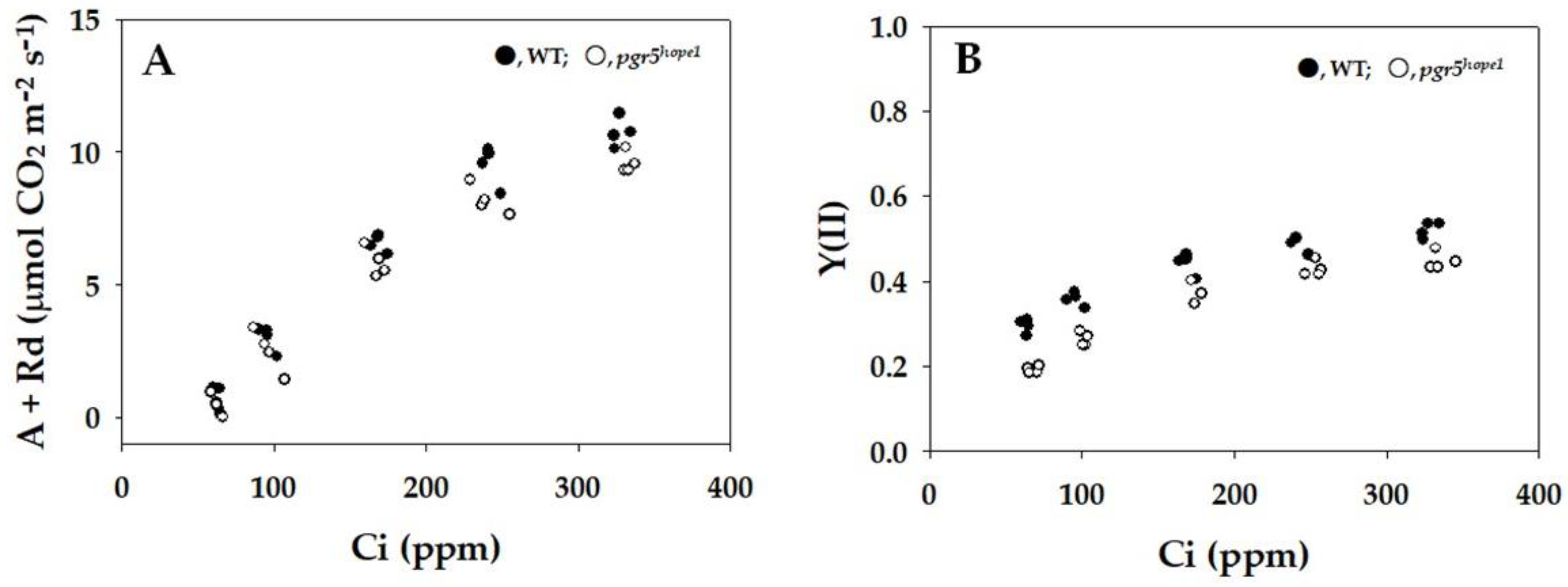 Ijms 25 02677 g001 Ijms 25 02677 g001