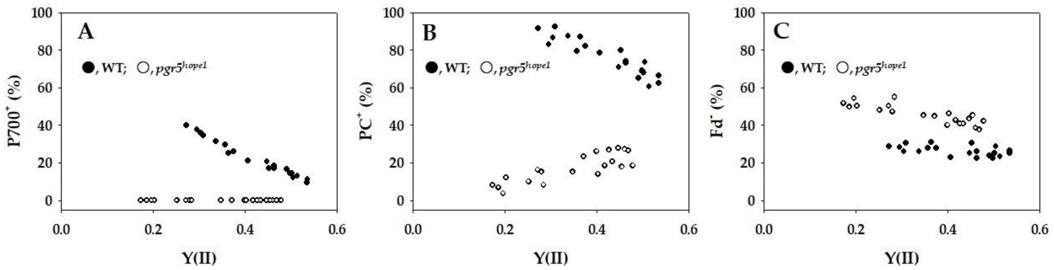 Ijms 25 02677 g002 Ijms 25 02677 g002