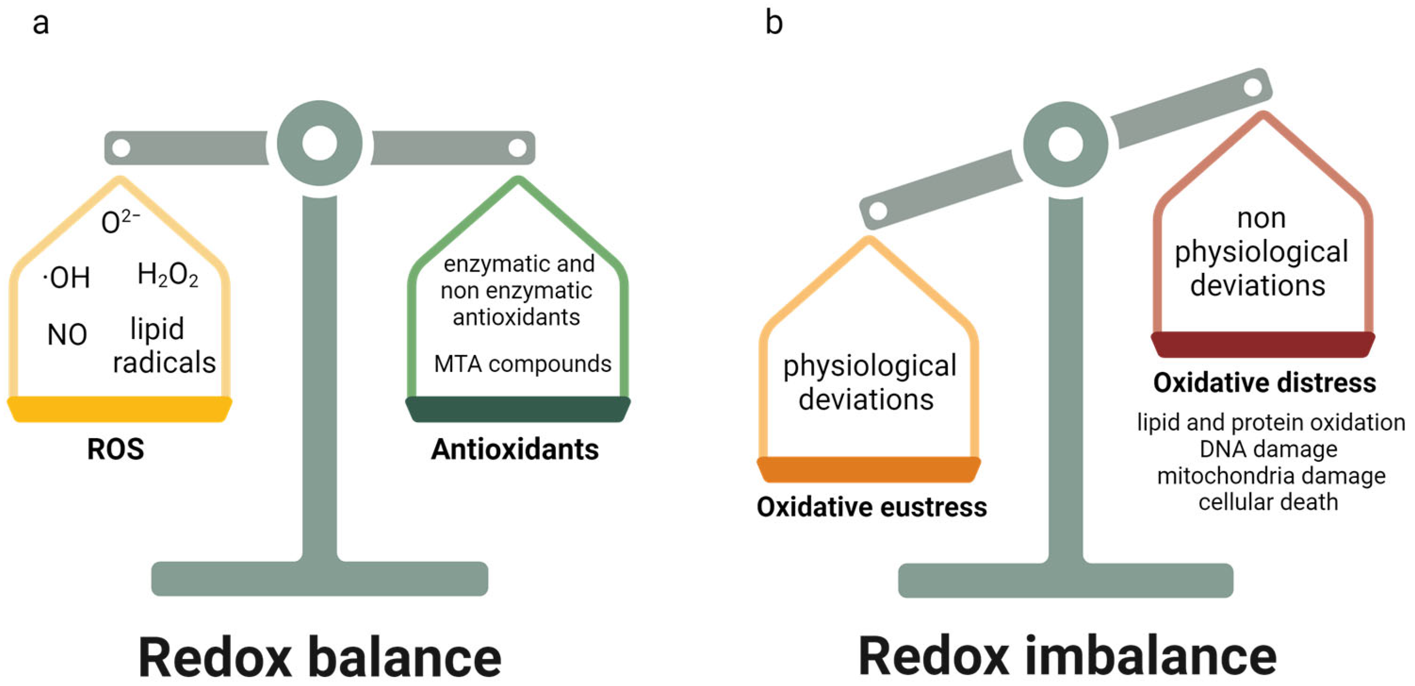 Ijms 25 02698 g001 Ijms 25 02698 g001
