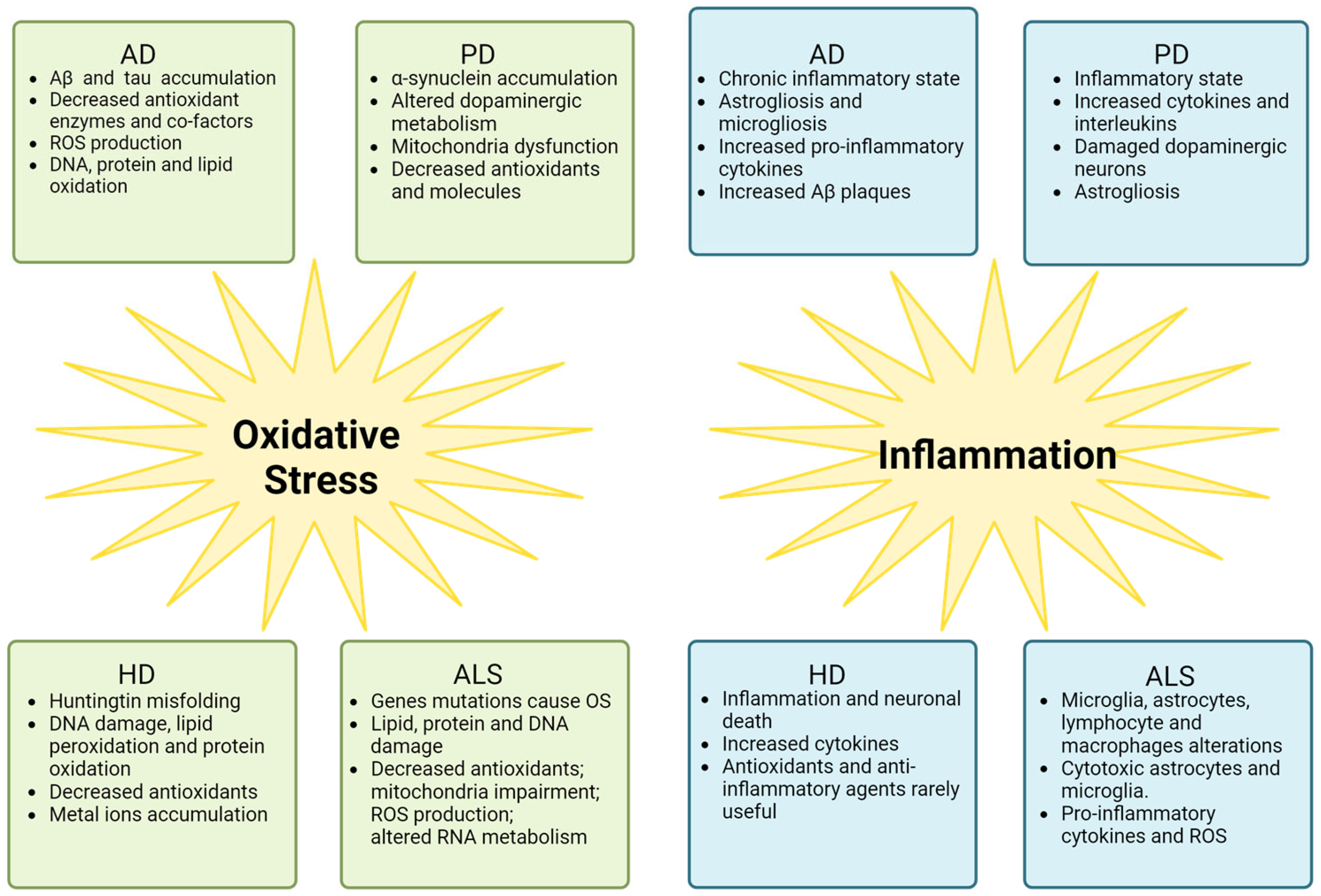 Ijms 25 02698 g002 Ijms 25 02698 g002