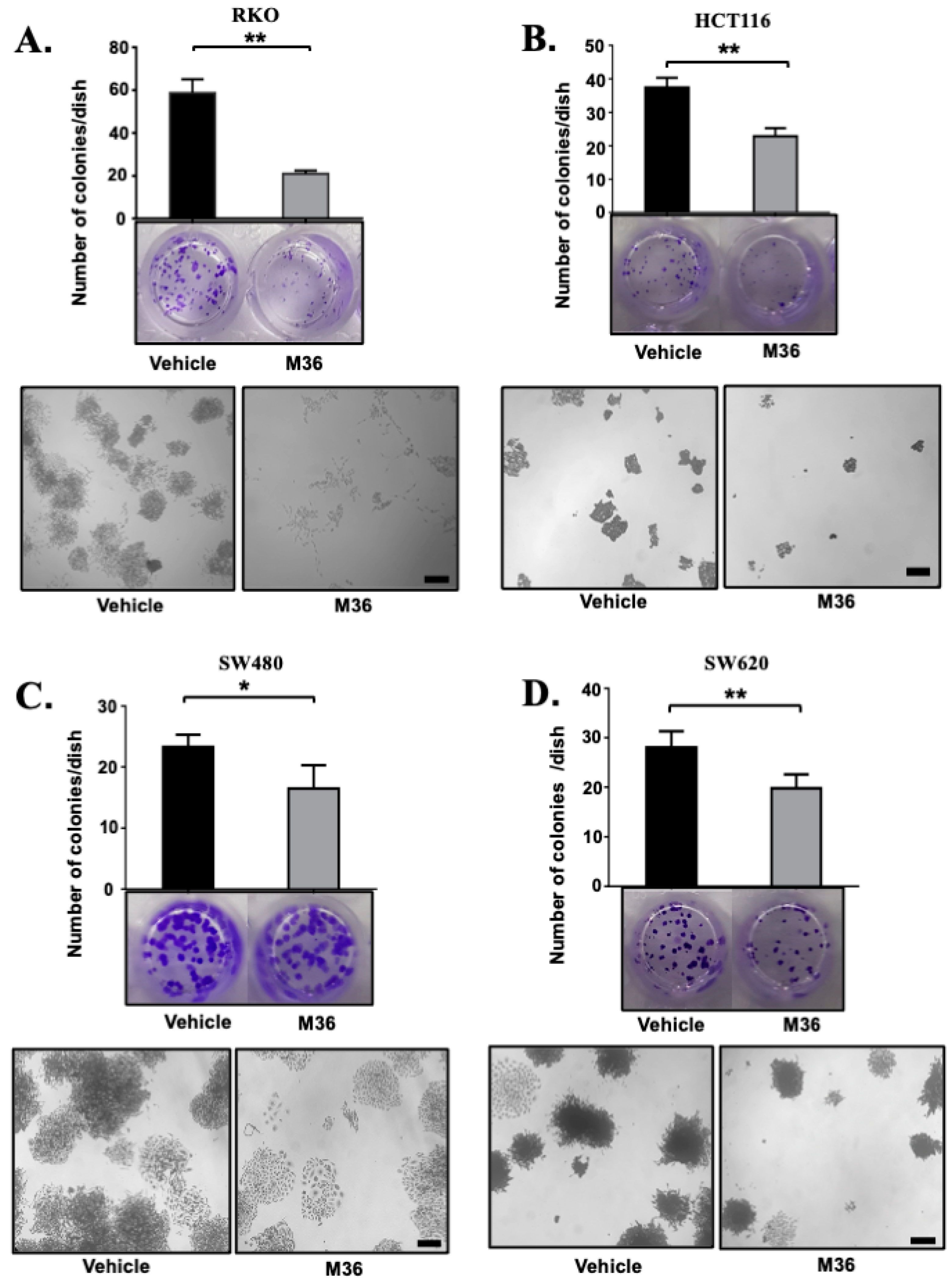 Ijms 25 02712 g002 Ijms 25 02712 g002