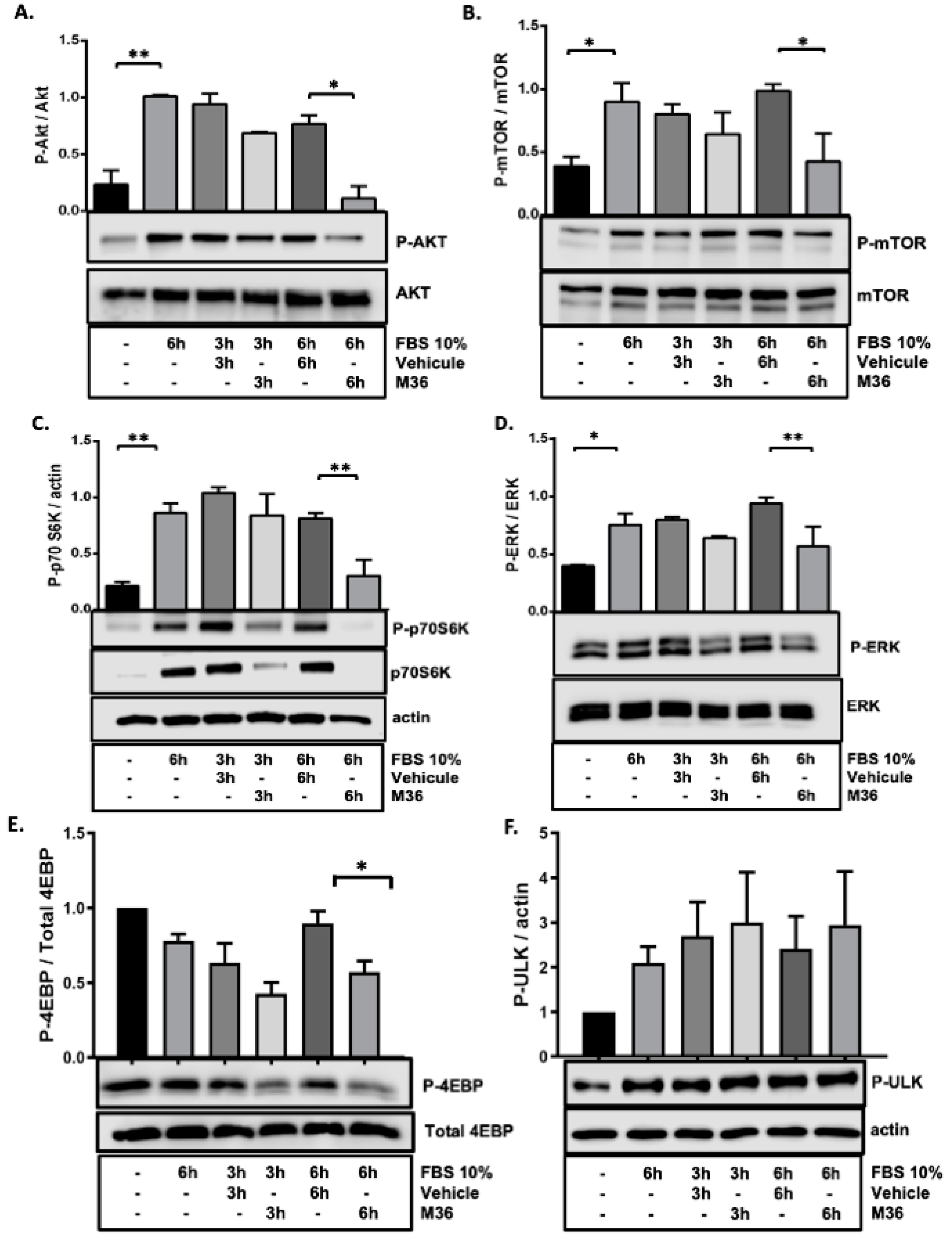 Ijms 25 02712 g004 Ijms 25 02712 g004