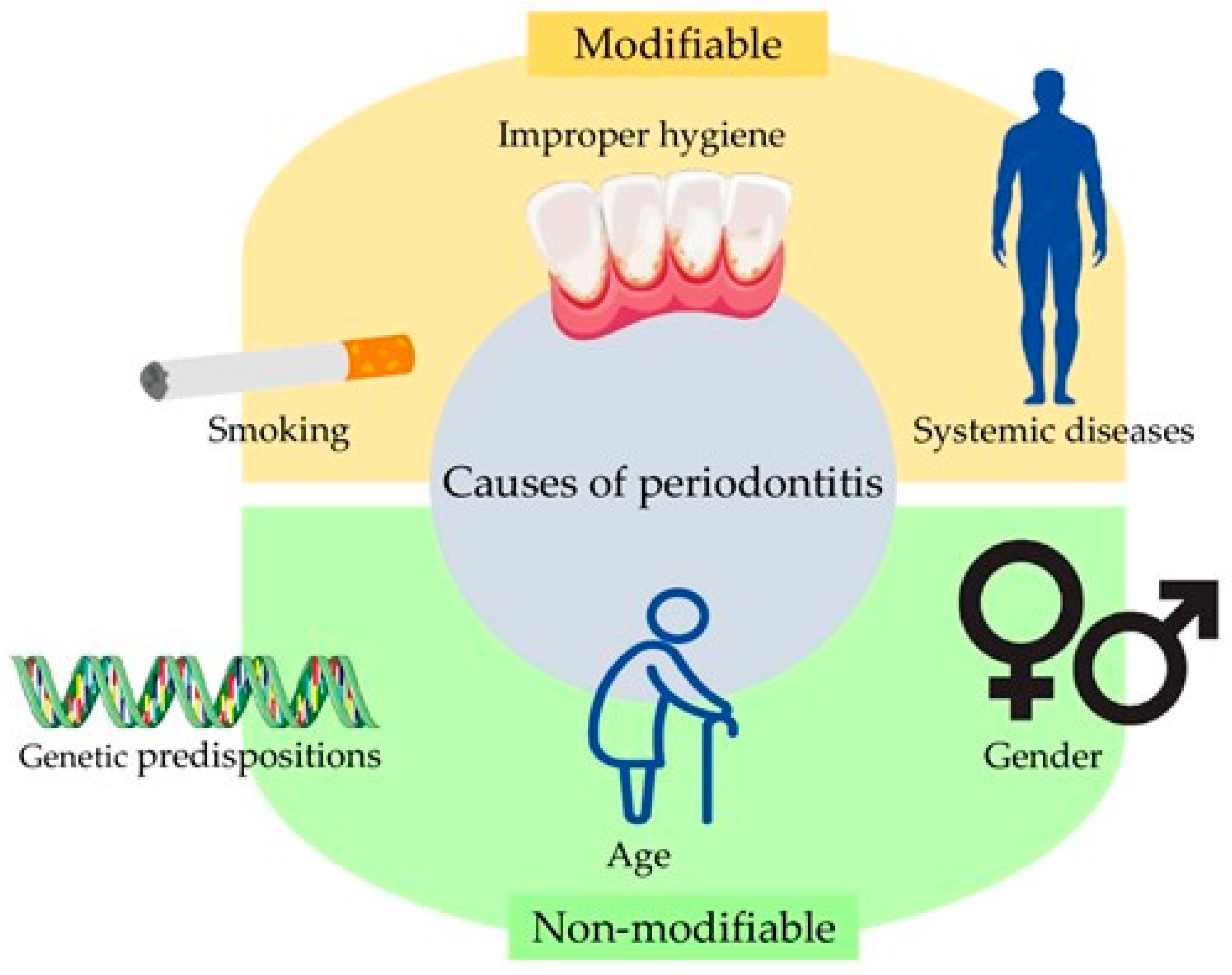 IJMS Free Full Text Importance of Metalloproteinase 8 MMP 8  