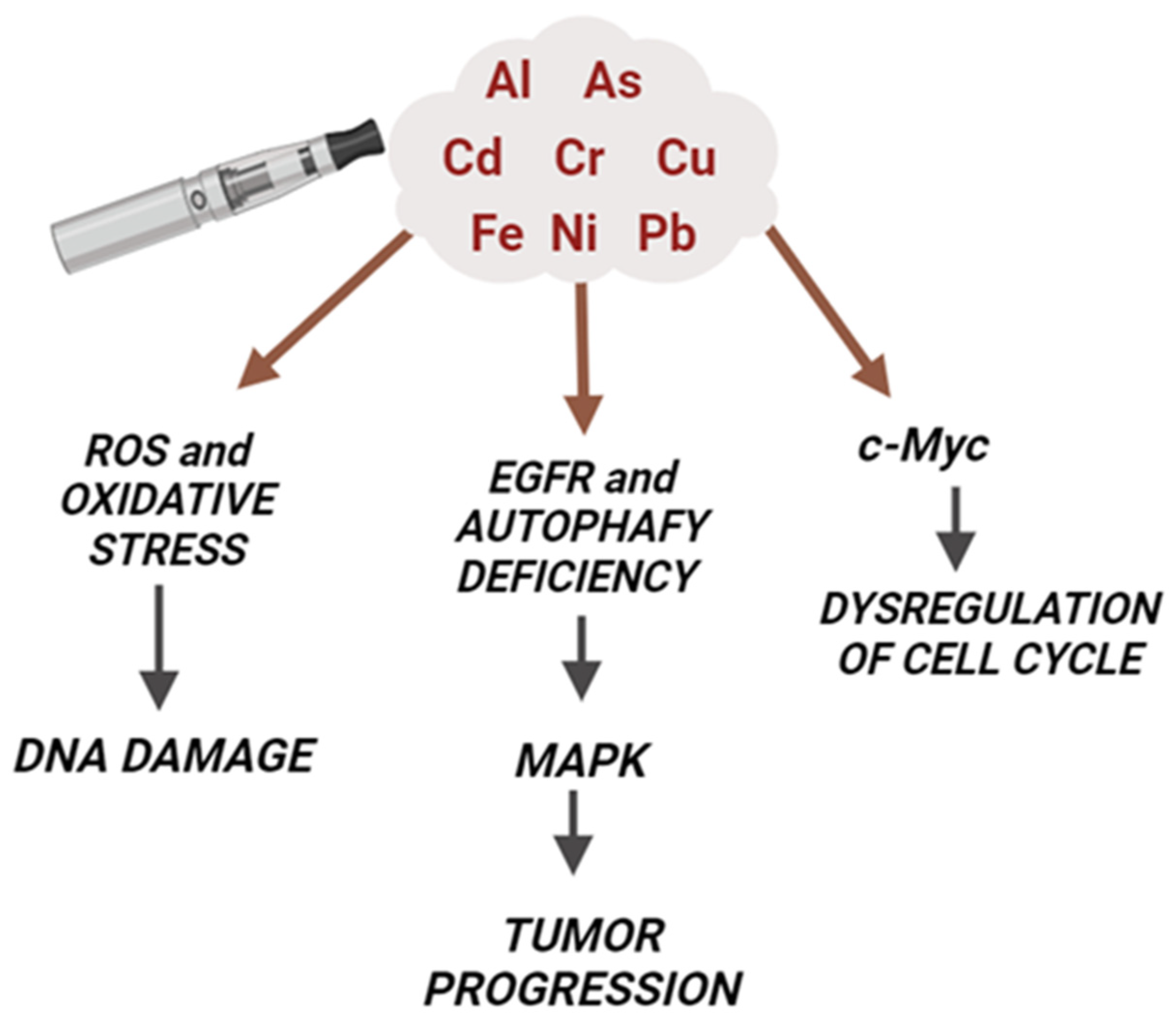 Ijms 25 02737 g003 Ijms 25 02737 g003