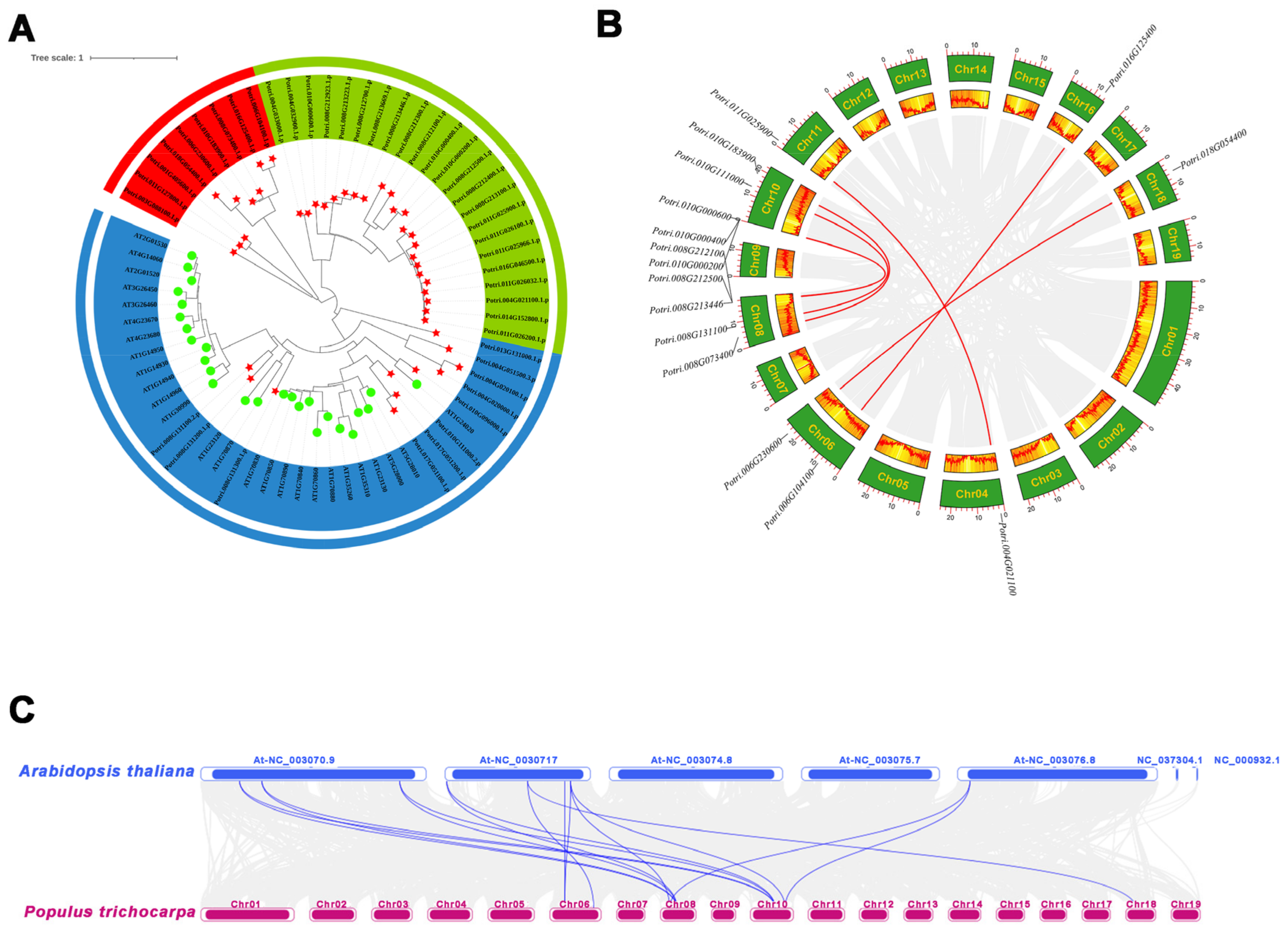 Ijms 25 02748 g002 Ijms 25 02748 g002