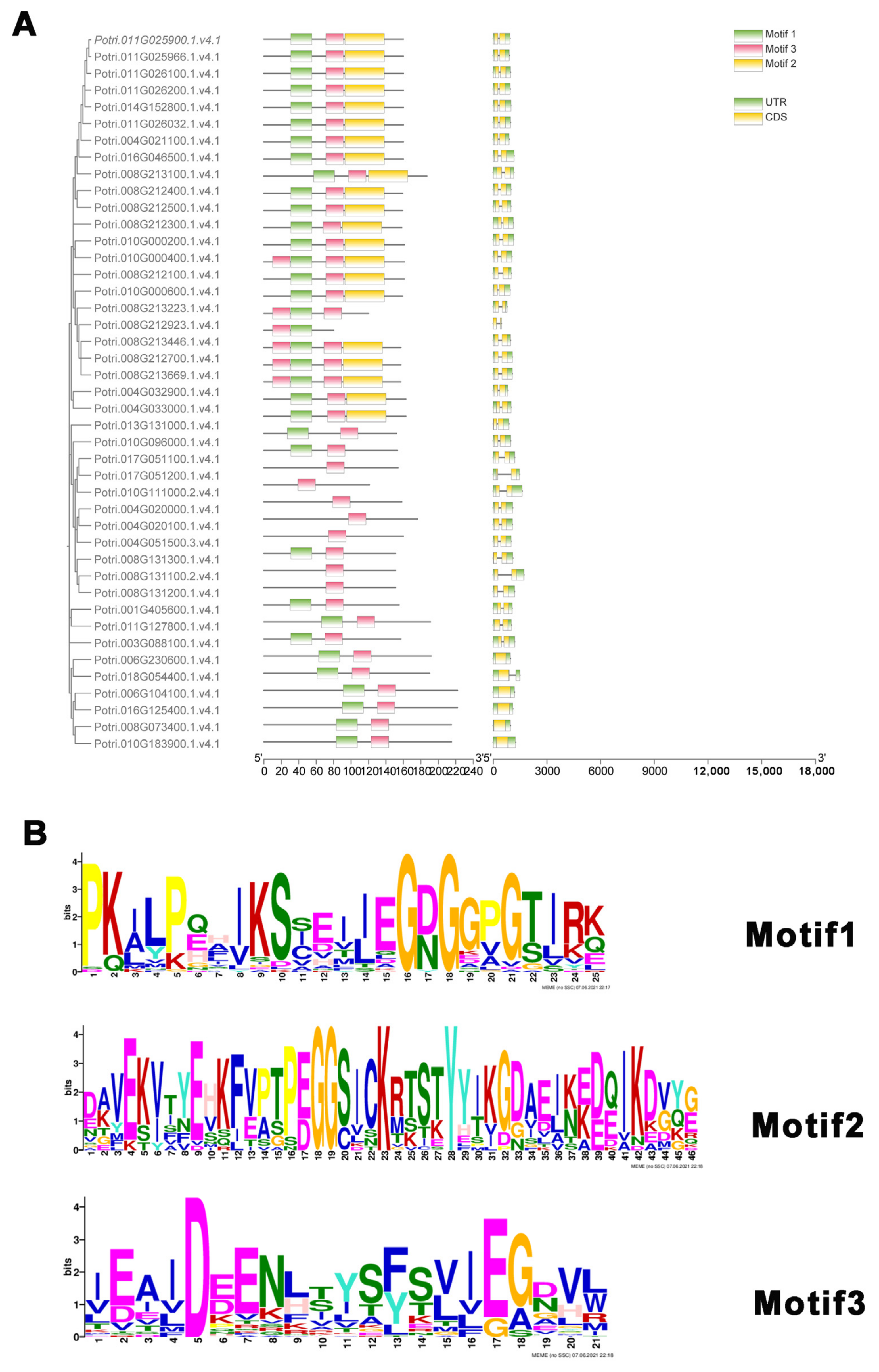 Ijms 25 02748 g003 Ijms 25 02748 g003