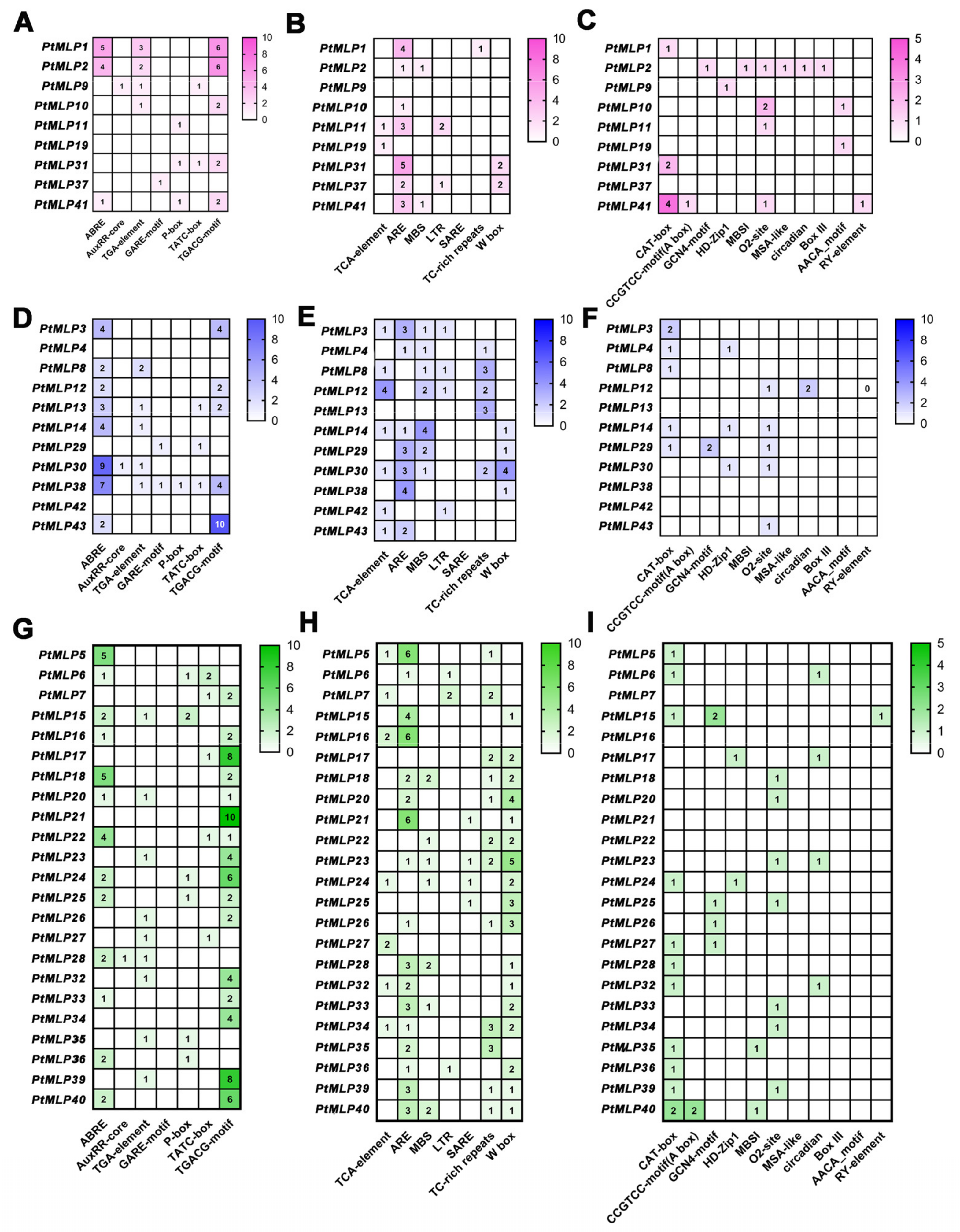 Ijms 25 02748 g005 Ijms 25 02748 g005