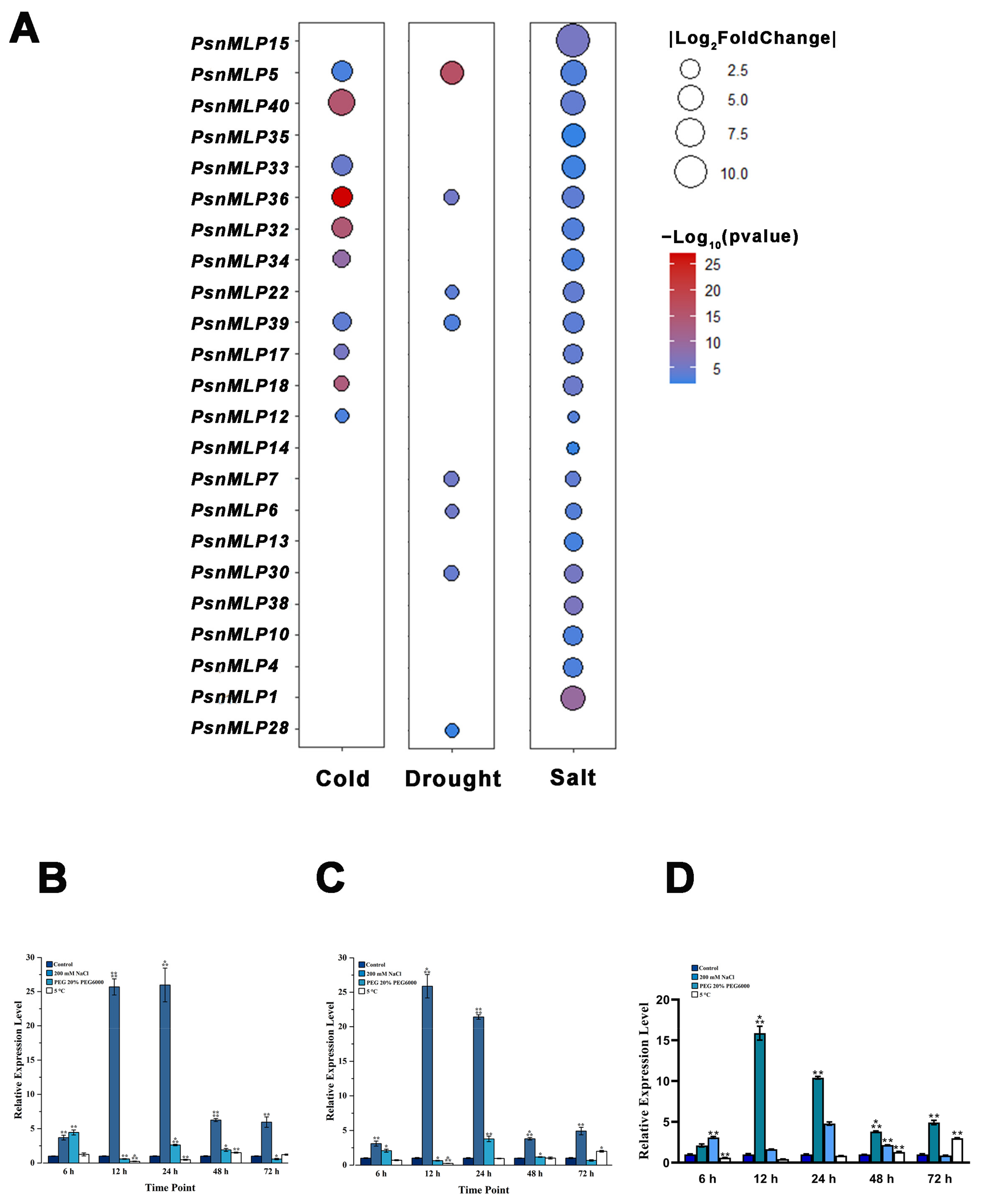Ijms 25 02748 g008 Ijms 25 02748 g008
