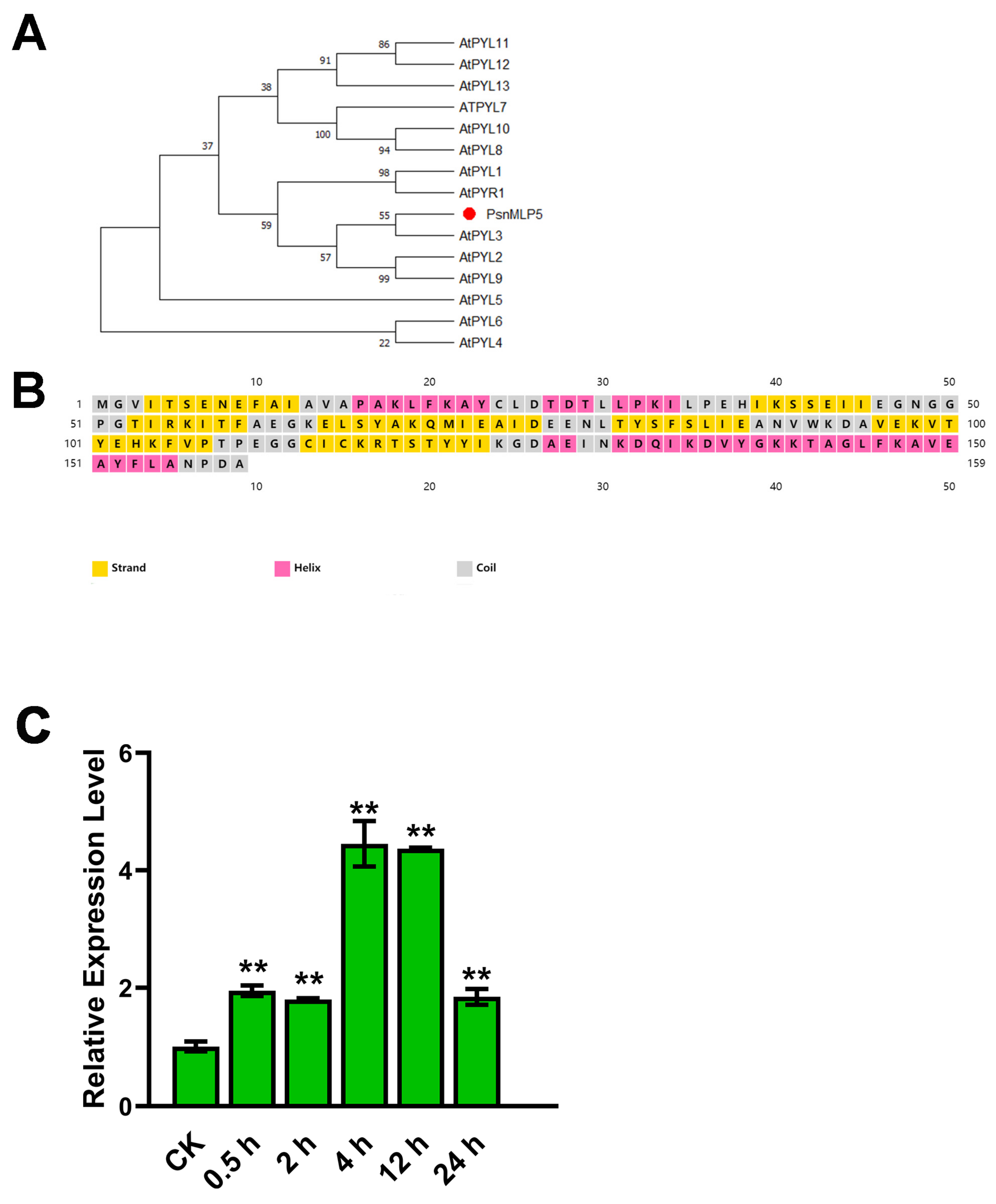 Ijms 25 02748 g009 Ijms 25 02748 g009