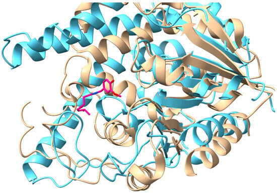 Near-perfect control of the regioselective glucosylation enabled