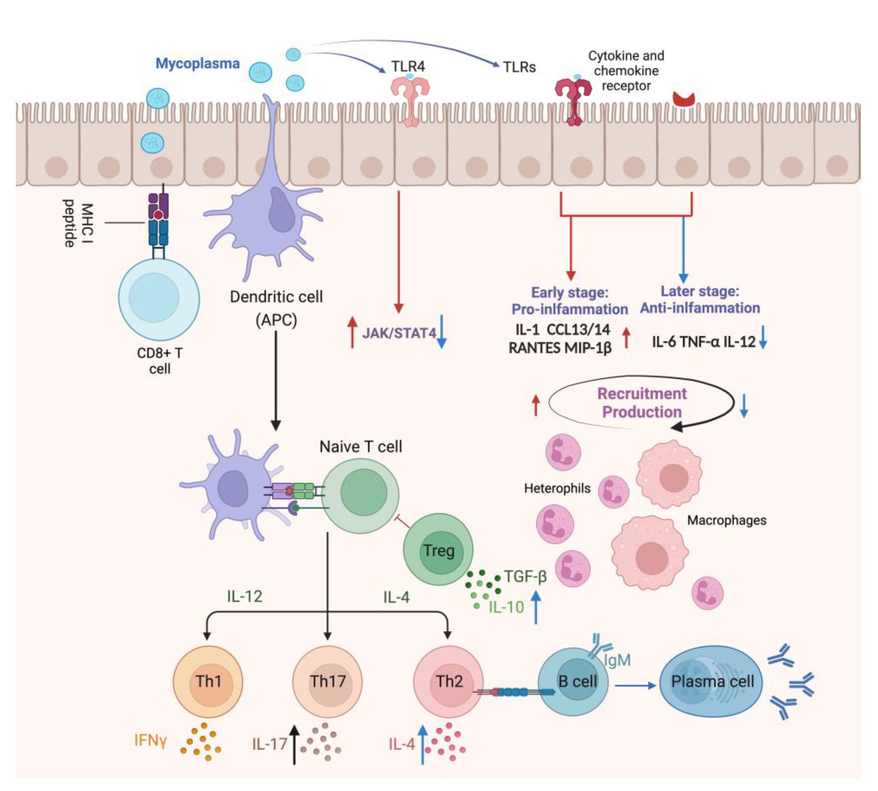 Ijms 25 02824 g003 Ijms 25 02824 g003
