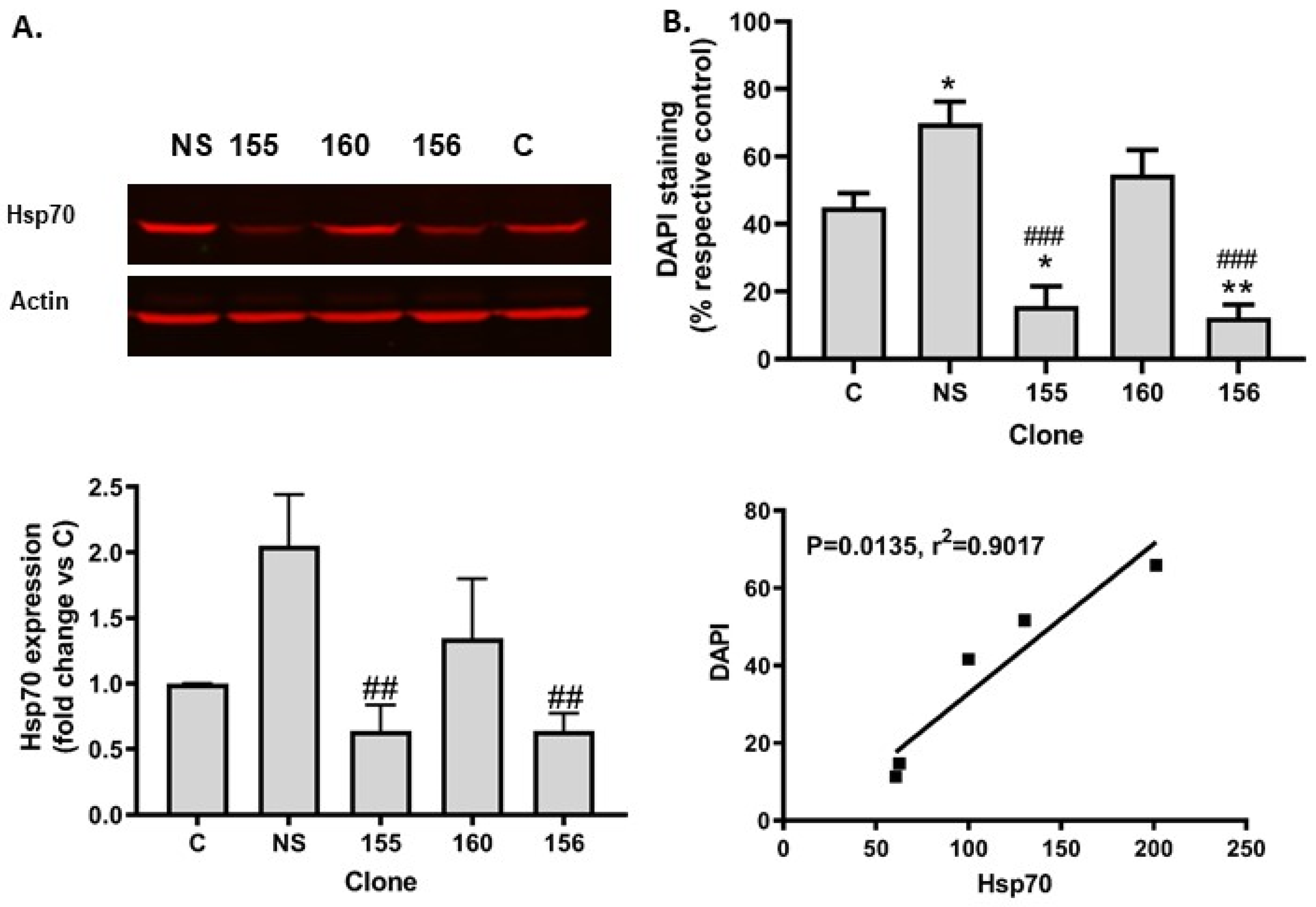 Ijms 25 02856 g003 Ijms 25 02856 g003