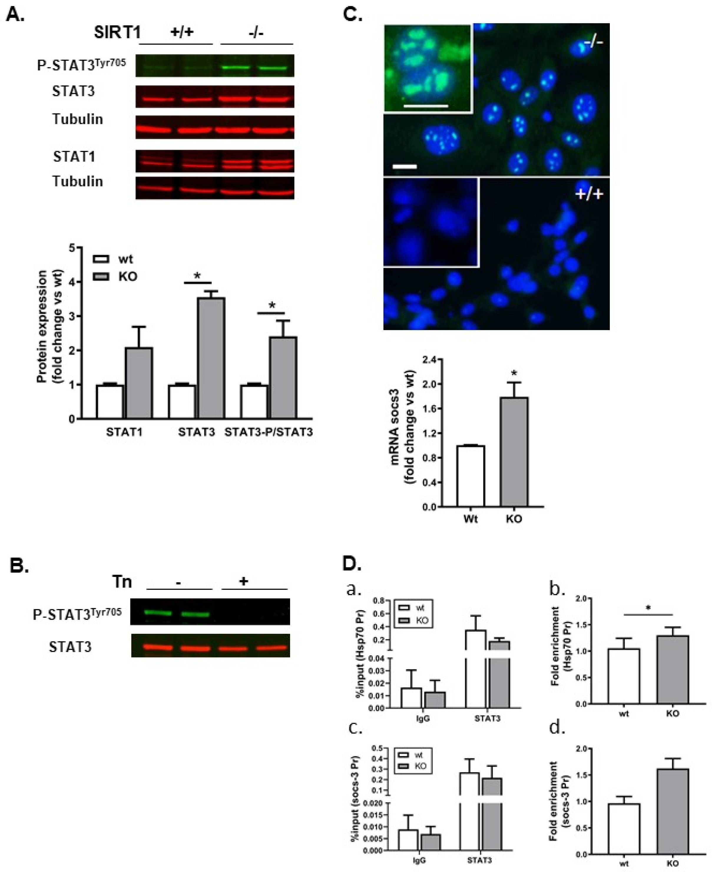 Ijms 25 02856 g005 Ijms 25 02856 g005